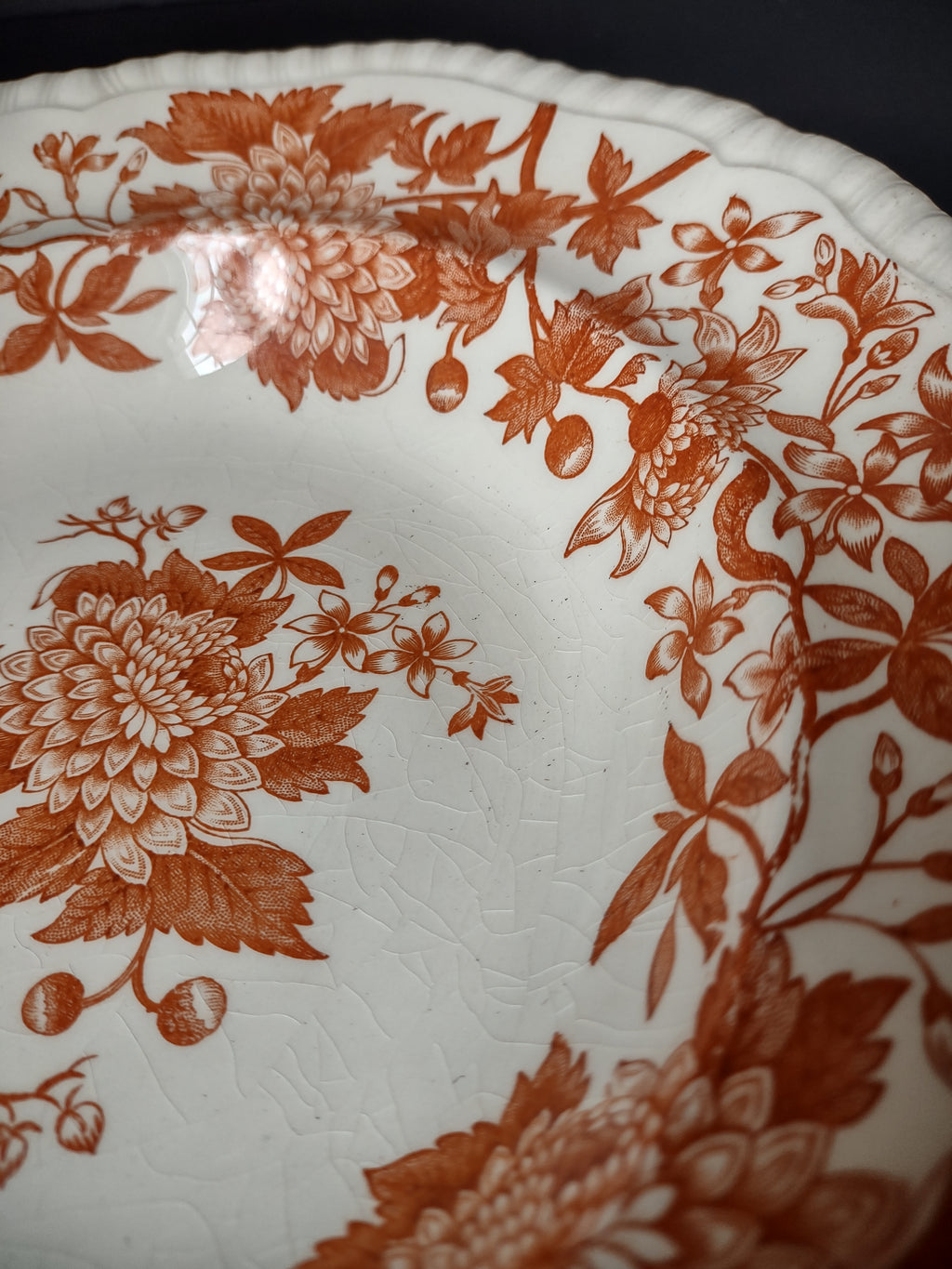 Vintage Copeland Spode Orange Floral Transferware Soup Plate England [7463E]