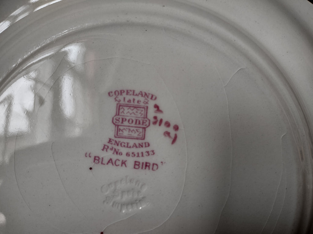 Vintage Copeland Spode Black Bird Pink Bird Floral Plate England [7470E]