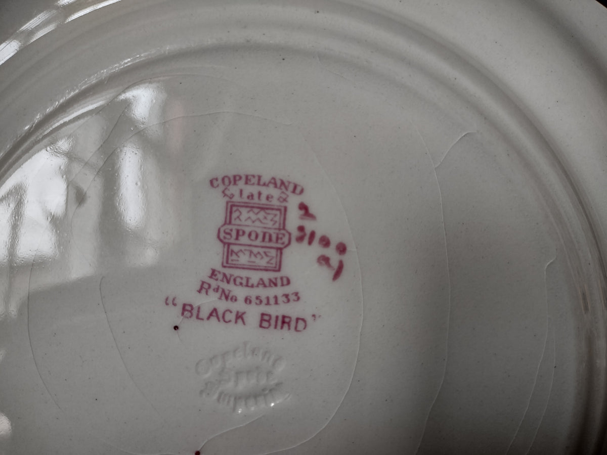 Vintage Copeland Spode Black Bird Pink Bird Floral Plate England [7470E]
