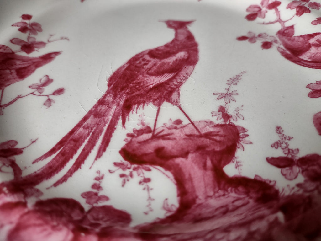 Vintage Copeland Spode Black Bird Pink Bird Floral Plate England [7470E]