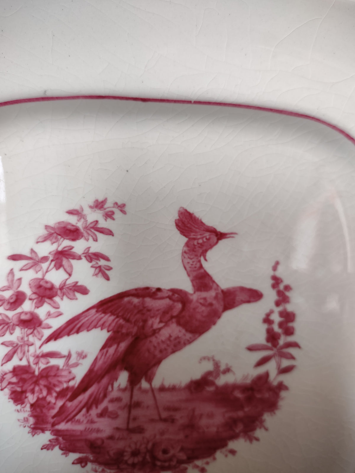 Vintage Copeland Spode Pink Bird Floral Square Plate England [7471E]