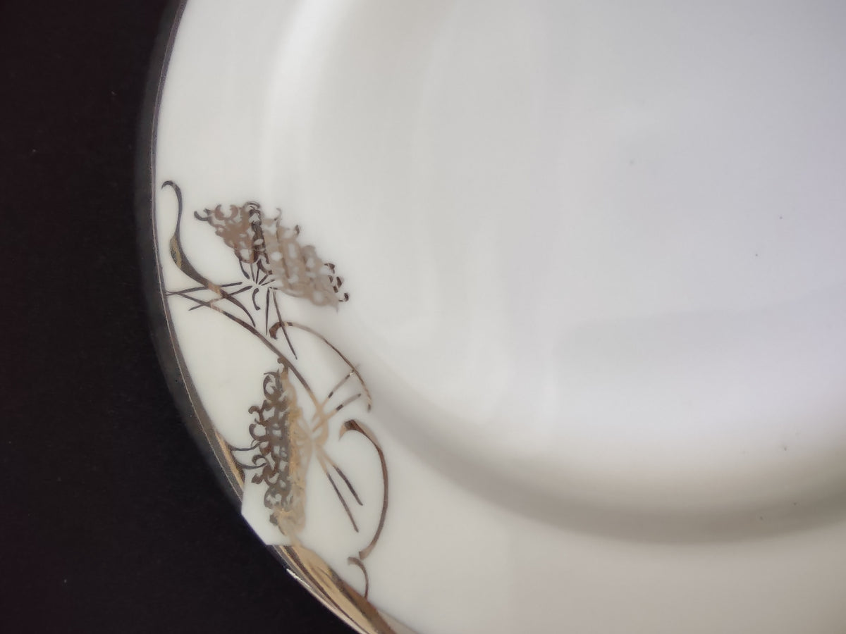 Plate diameter shown with ruler