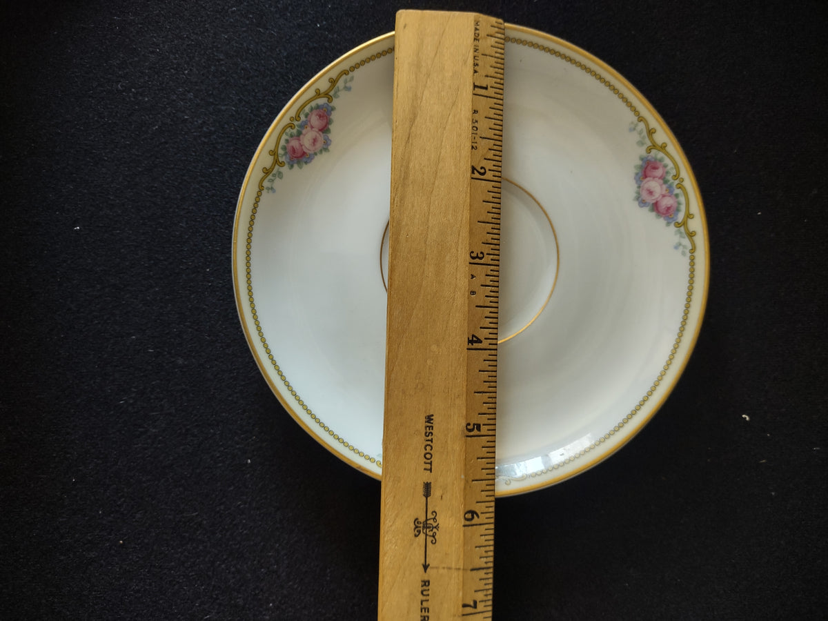 Saucer diameter shown with ruler