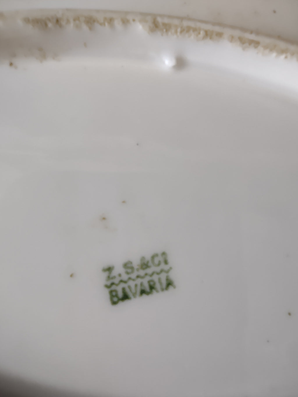 Vintage 15.5" Z S & Co Bavaria Pink Rose Green Border Oval Platter [7528]