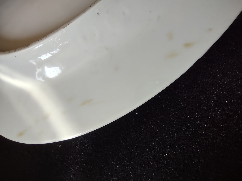 Vintage 15.5" Z S & Co Bavaria Pink Rose Green Border Oval Platter [7528]