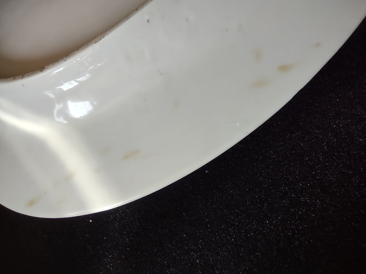 Vintage 15.5" Z S & Co Bavaria Pink Rose Green Border Oval Platter [7528]