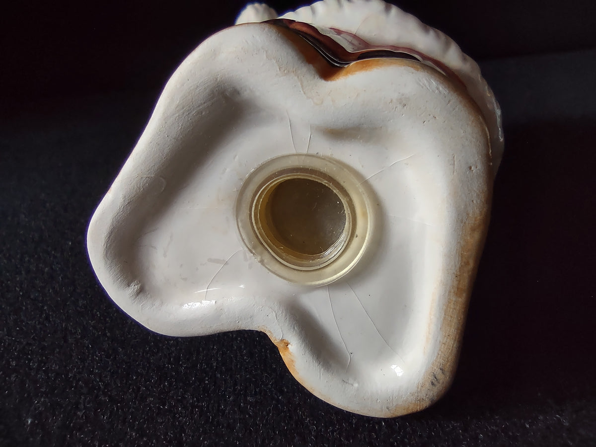 Underside of a bear shaker showing hairline cracks