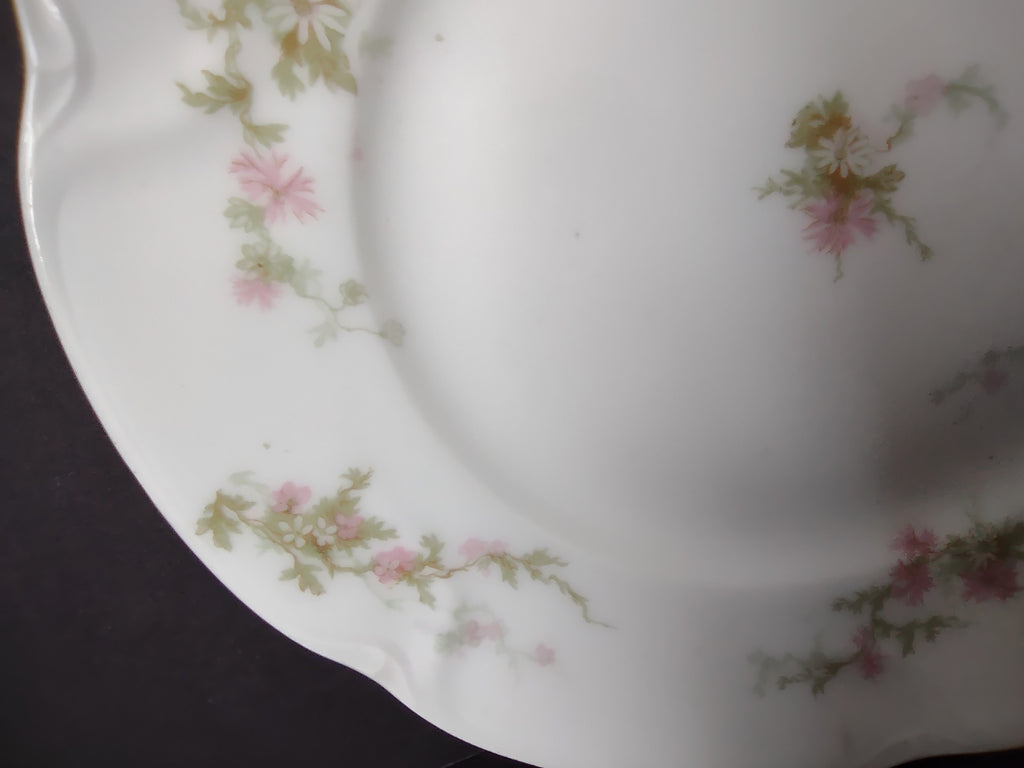 Haviland Limoges Salad/Dessert Plate Pink Thistle & Daisy (lot 882)