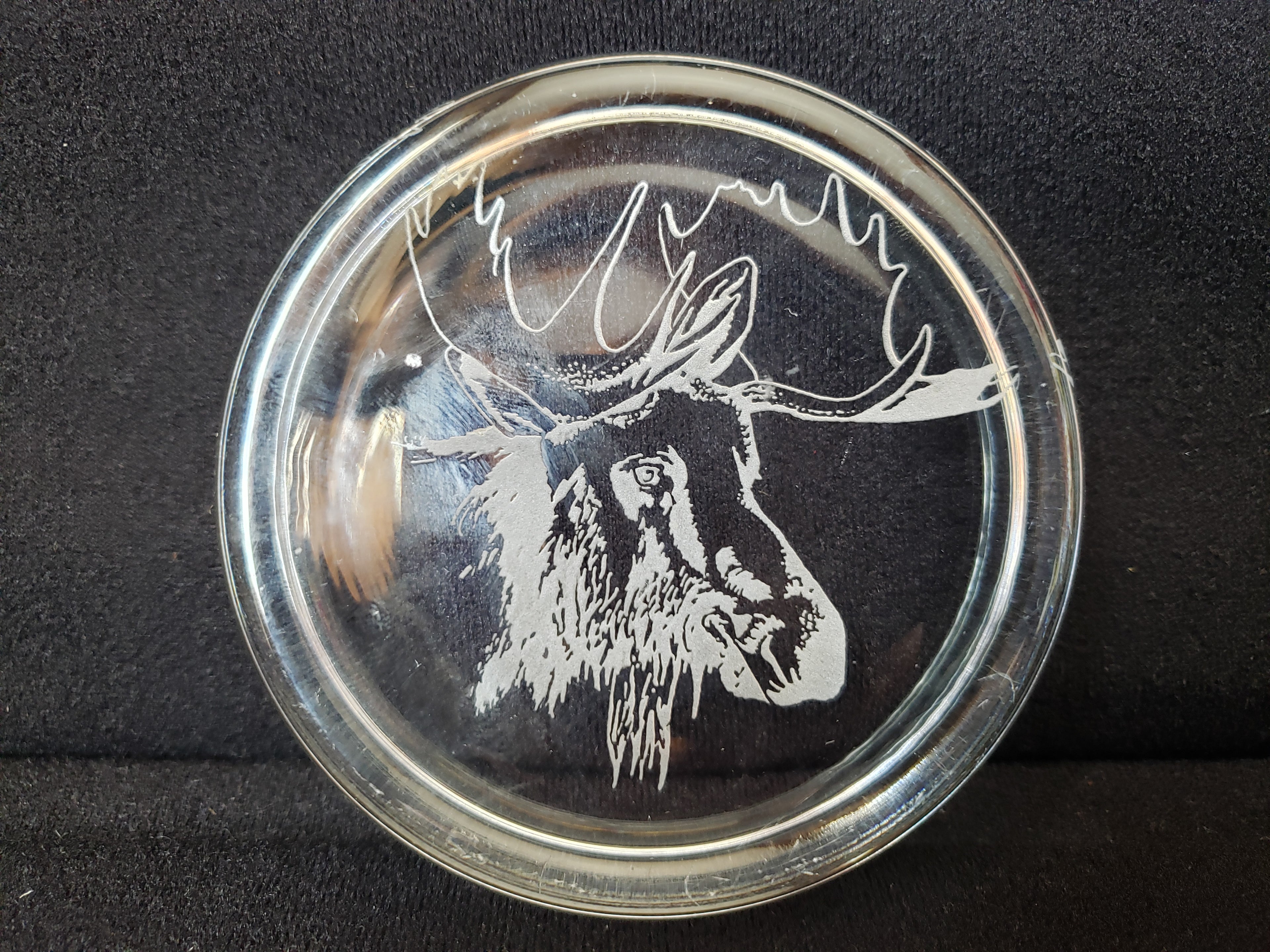 Moose Coaster Paper Weight Glass 3-3/8" (lot 2221)
