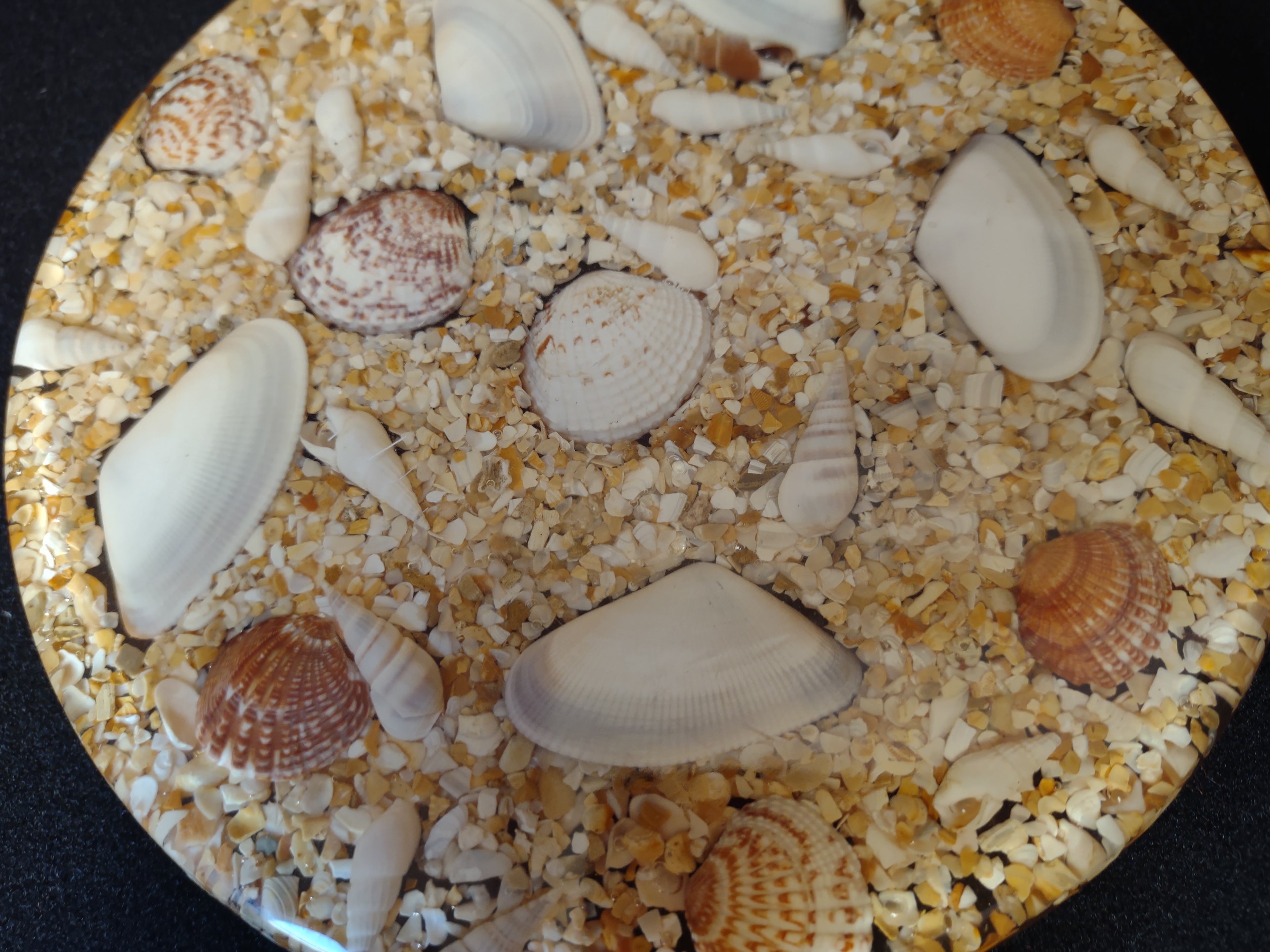 Vintage Acrylic Shell Trivet Handmade with Beach Sand (lot 1697)