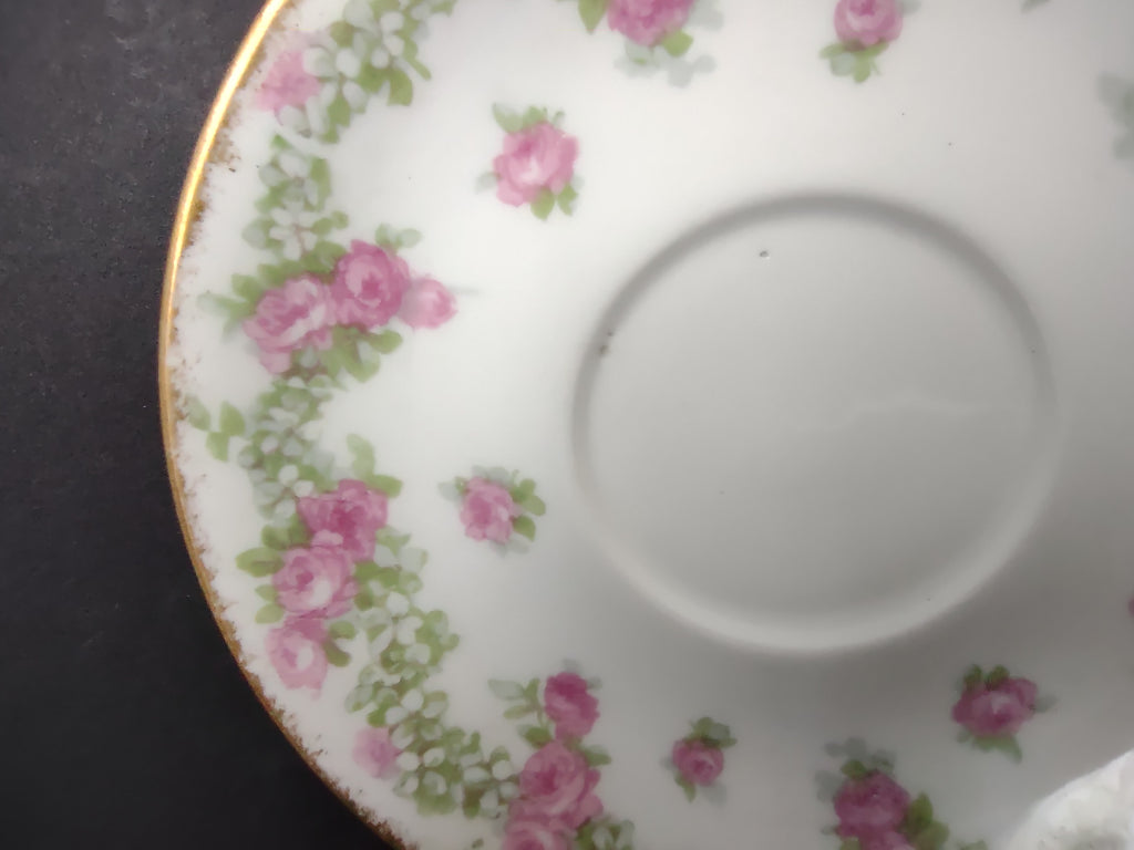 JP France for T.G. Evans & Co Pittsburgh Saucer ONLY Rose Garland (lot 835)