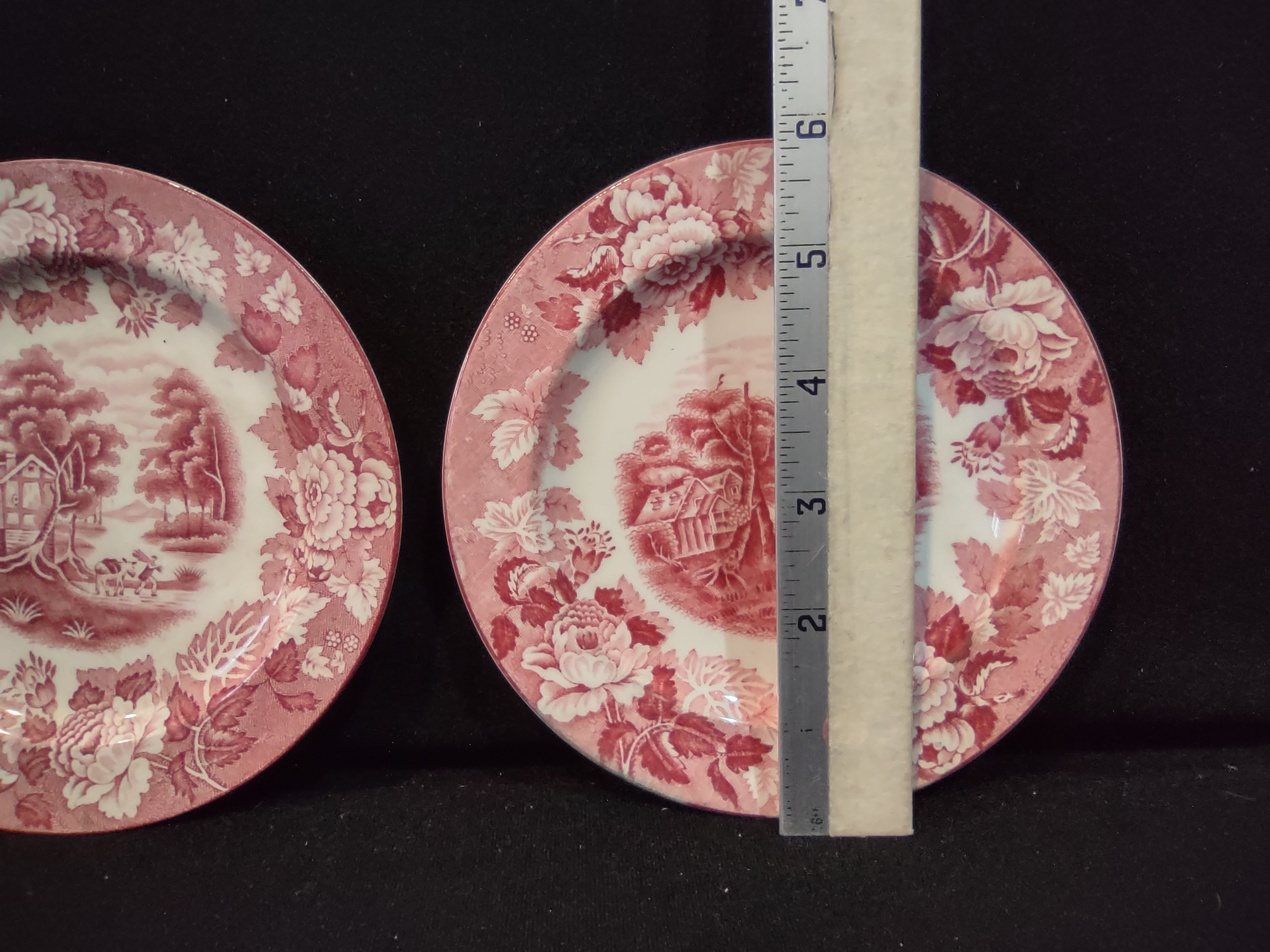 Vintage Two Different Plates Enoch English Scenery Wood Ware (lot 5685)