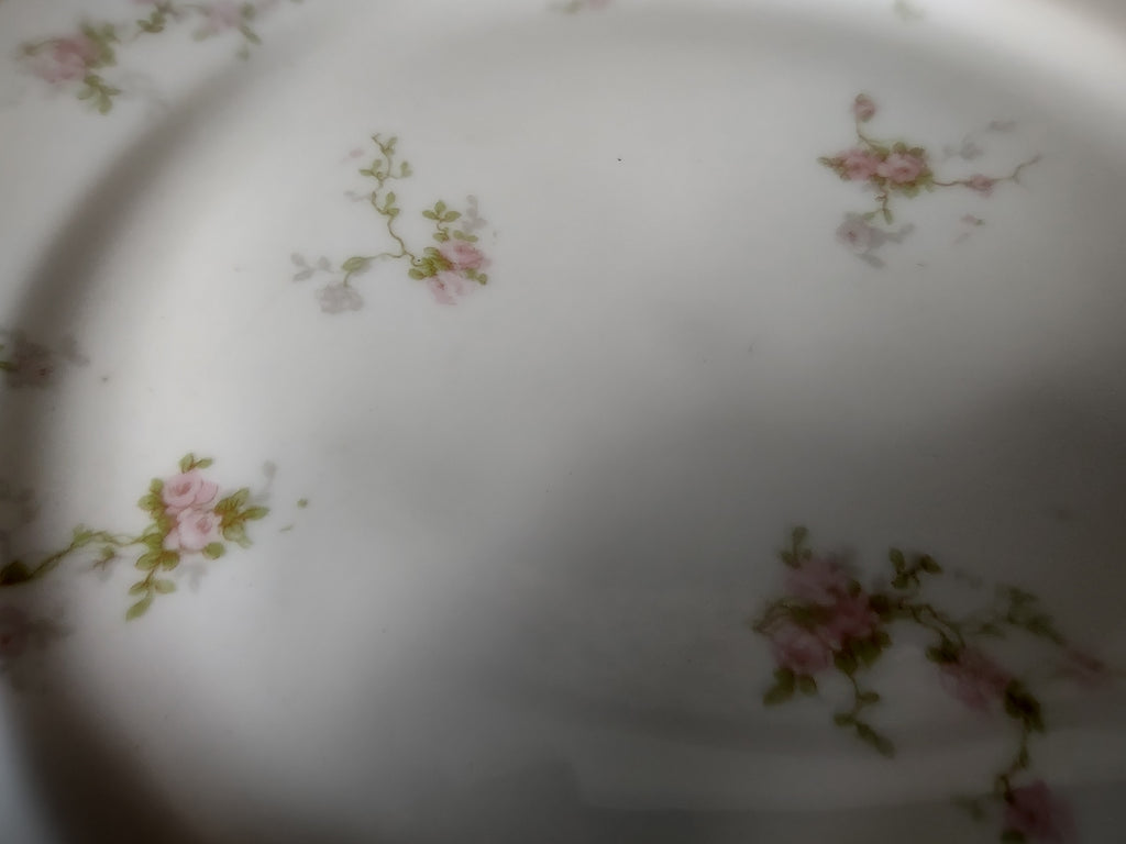 Haviland Limoges Pink Spray Dinner & Bread/Butter Plate (lot 921)