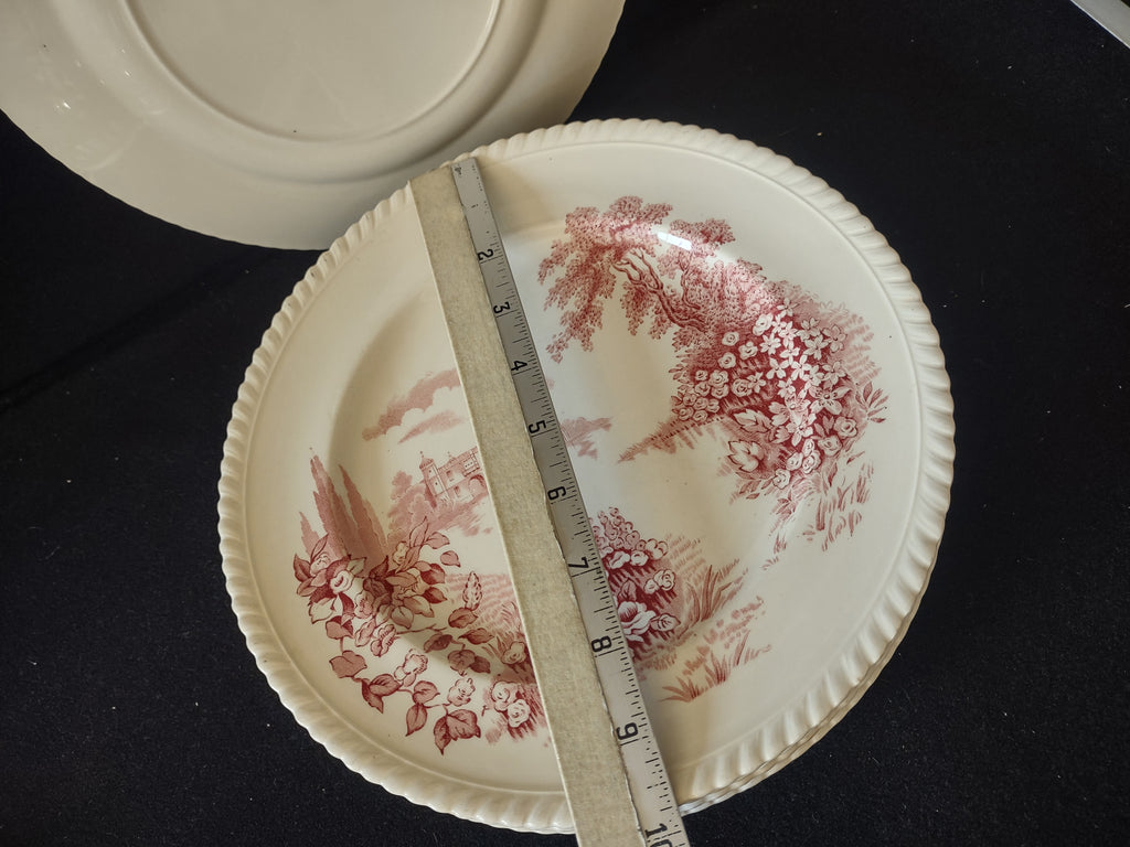 Vintage Castle On Lake Johnson Dinner Plate x 6 English Countryside (lot 5704)