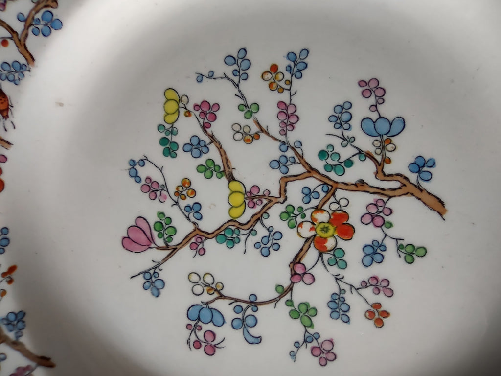 Vintage Copeland Late Spode Dessert Plate Shanghai Floral Bone China (Lot 5813)