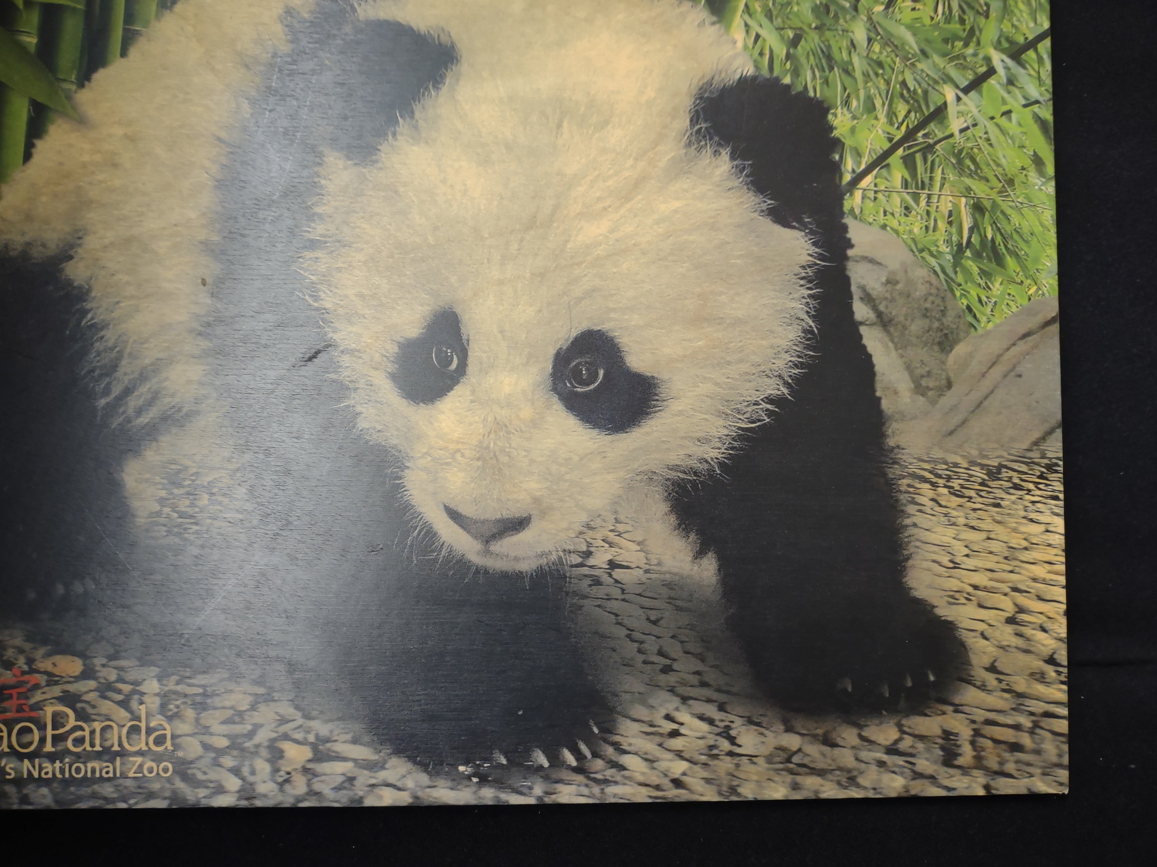 Bao Bao Smithsonian Panda Wooden Picture Portret Walnut Hollow (lot 2772c)