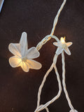 Patio 10 White Flower Light Set Indoor Outdoor 9 1/4' (Lot 4305)