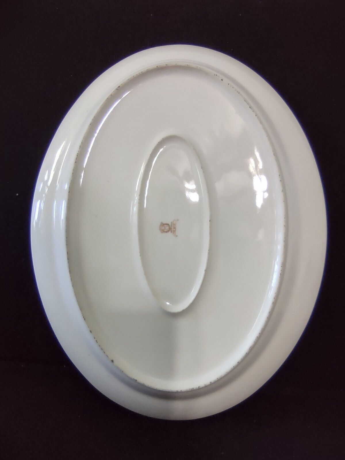 Noritake The Basel Oval Holiday Turkey Serving Platter 16-1/2" Japan (304)