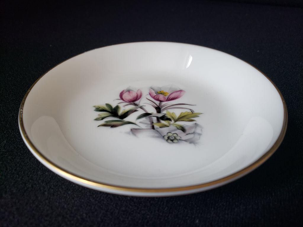 Vintage Royal Worcester Spring Flower Coaster Fine China Small Dish 4" (lot 2067)