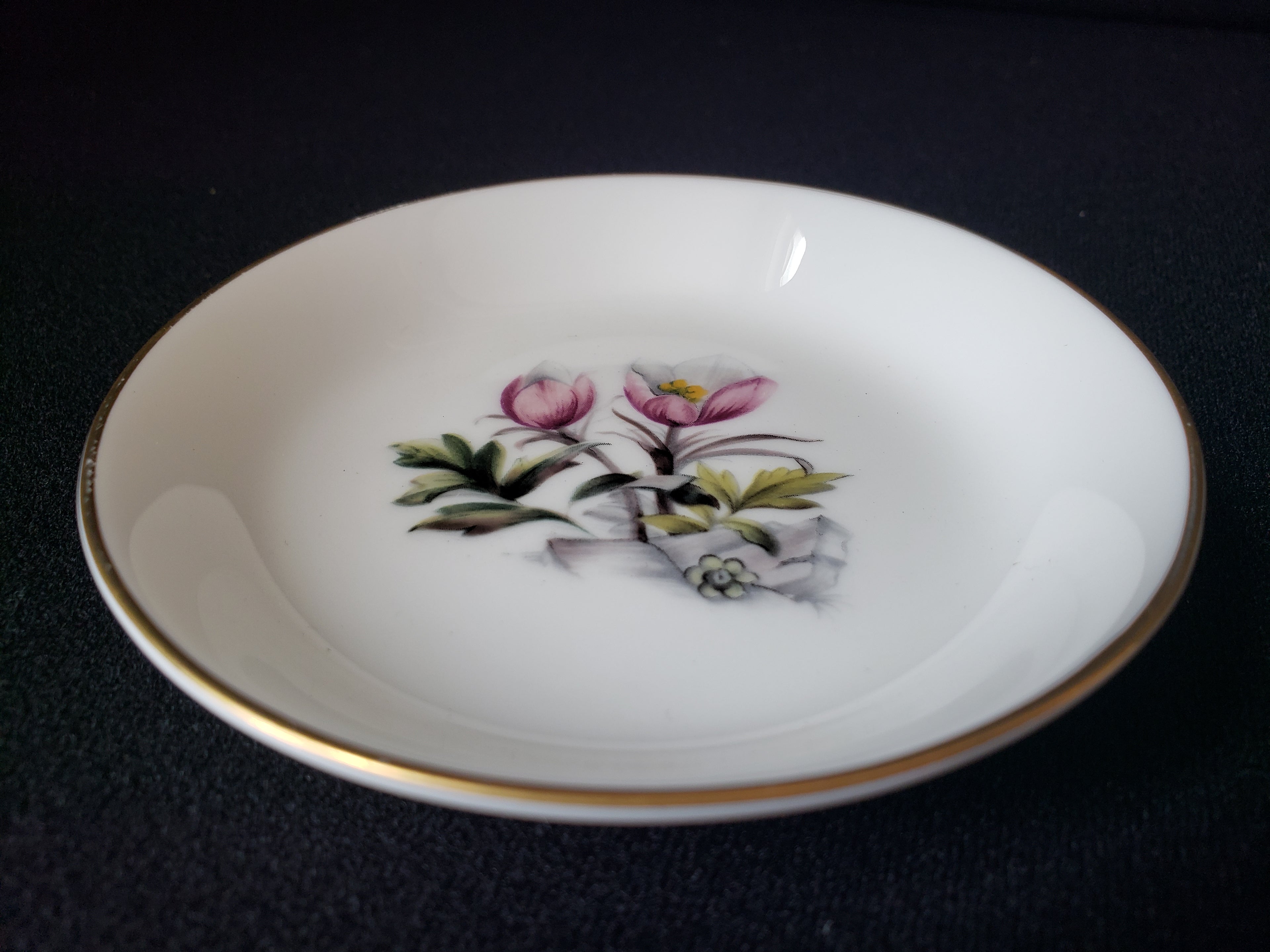 Vintage Royal Worcester Spring Flower Coaster Fine China Small Dish 4" (lot 2067)