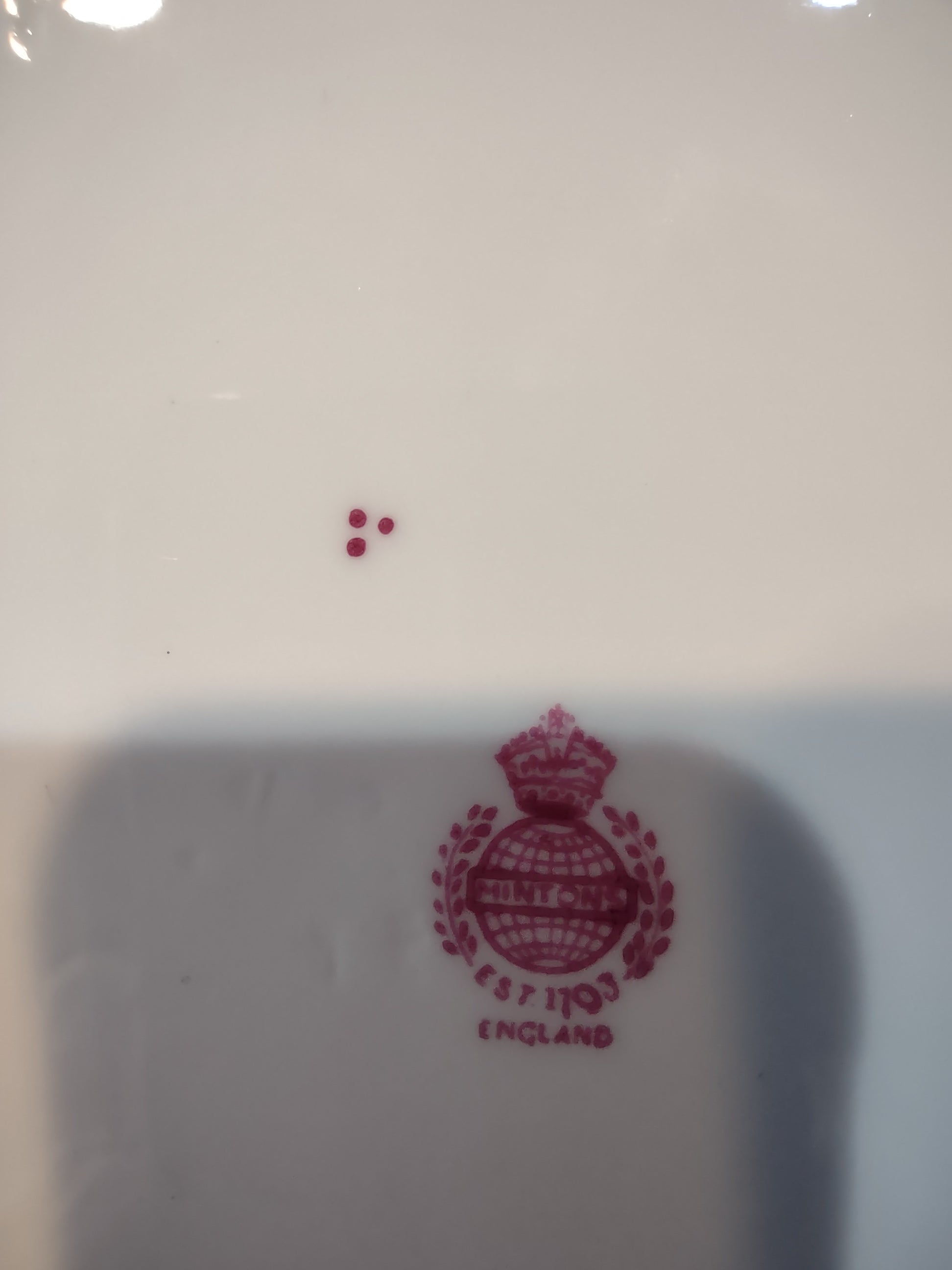 Vintage Royal Doulton Evesham Lunch Plate Bone China Floral Scalloped (lot5498)