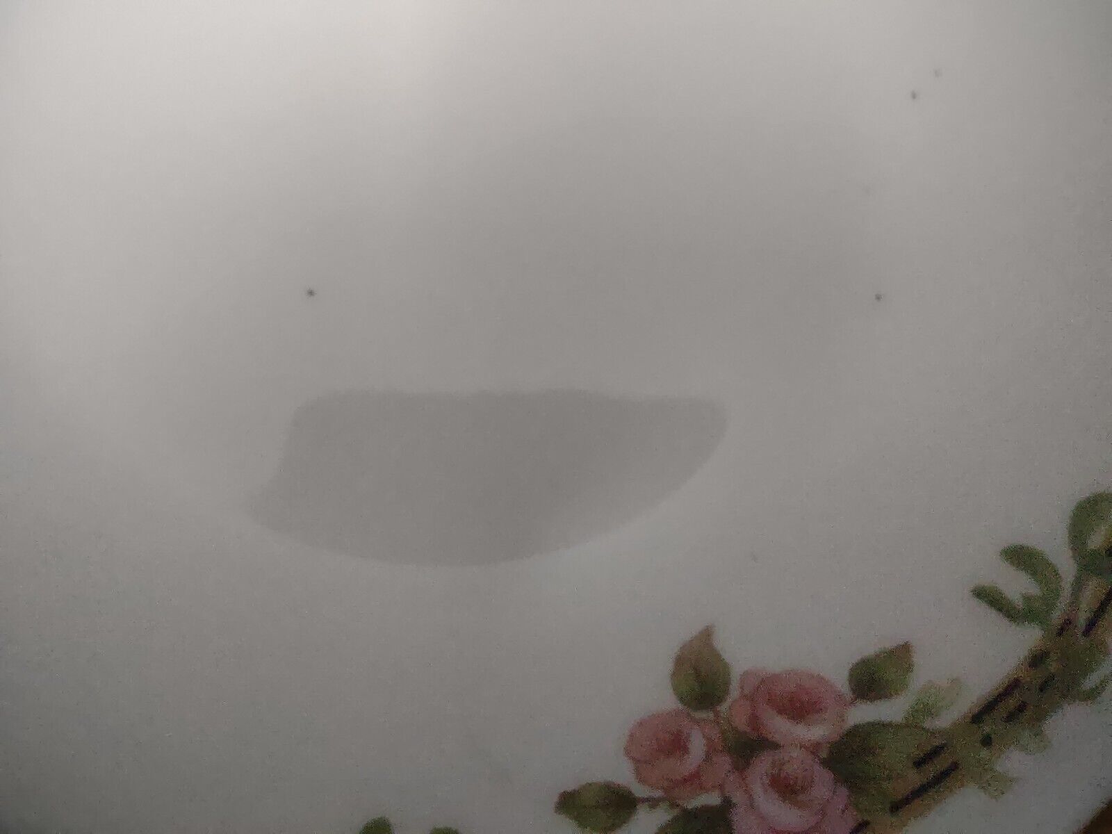 Haviland Limoges Schleiger 625 A Red Rose 6 x Coupe Plate 5" (lot 541)