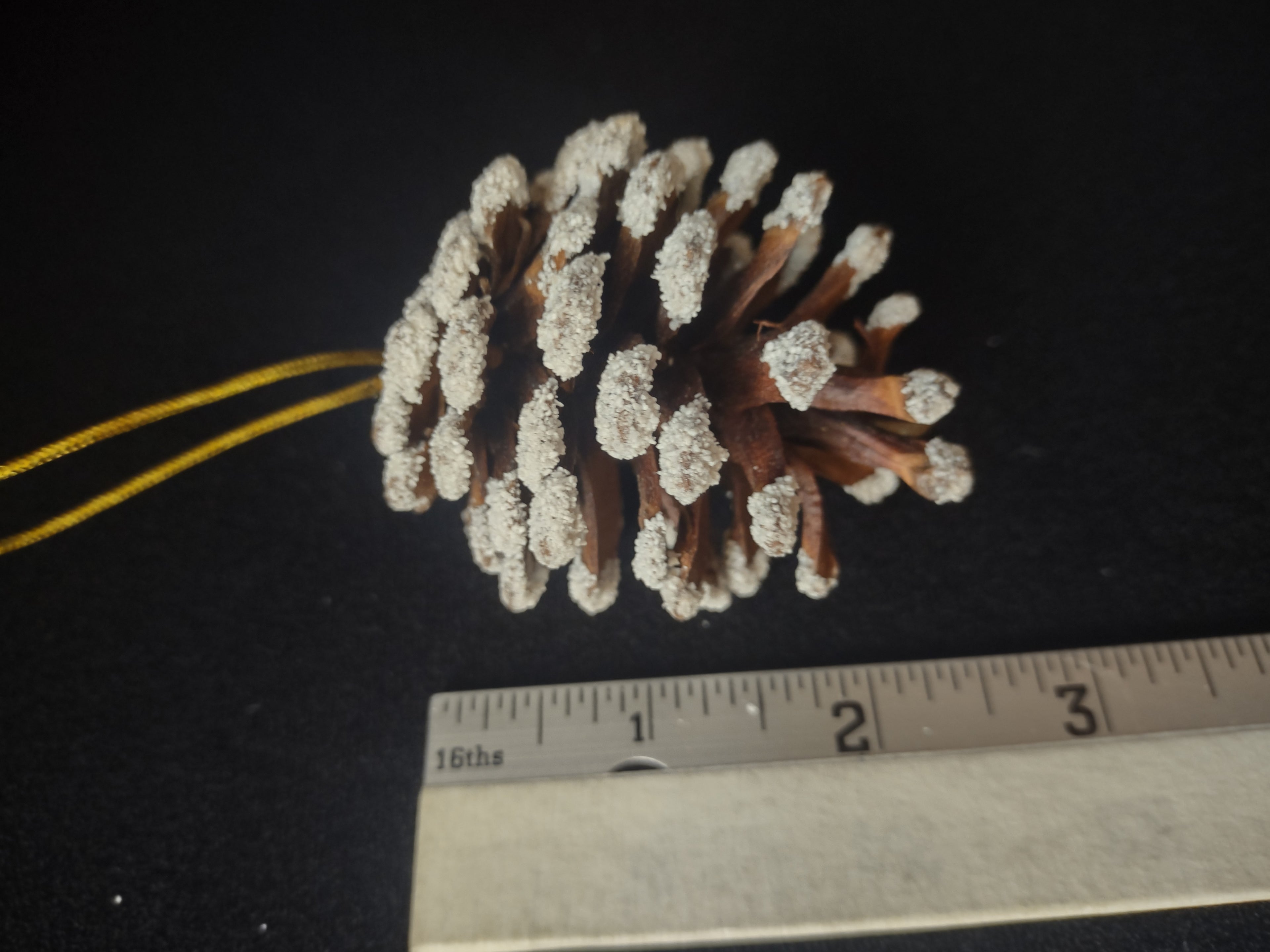 Lot of 12 Pine Cones Christmas Tree Ornament (lot 1683)
