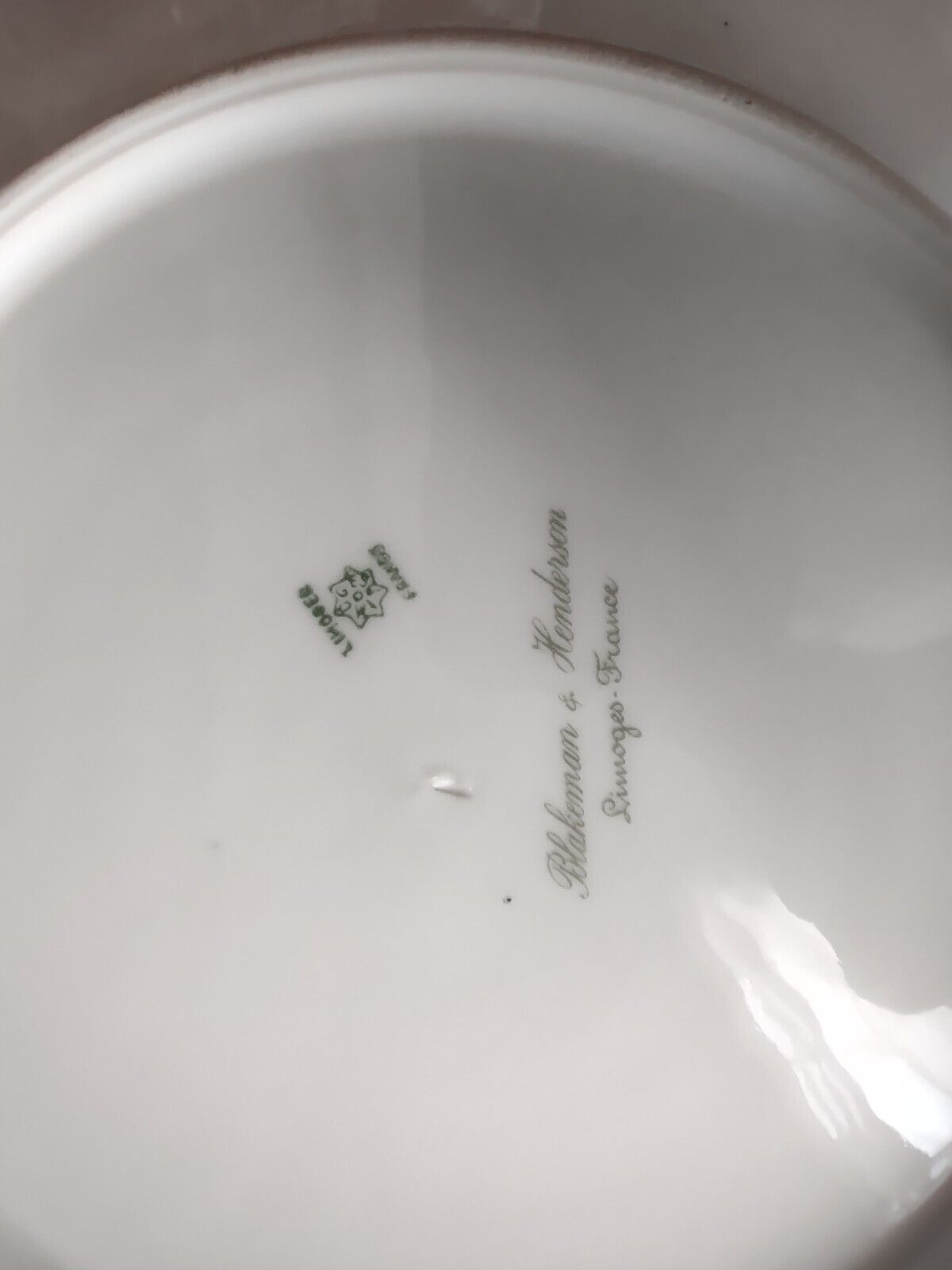 Limoges Raised Gold Trim Salad Luncheon Plate Seafoam Green (lot 632)