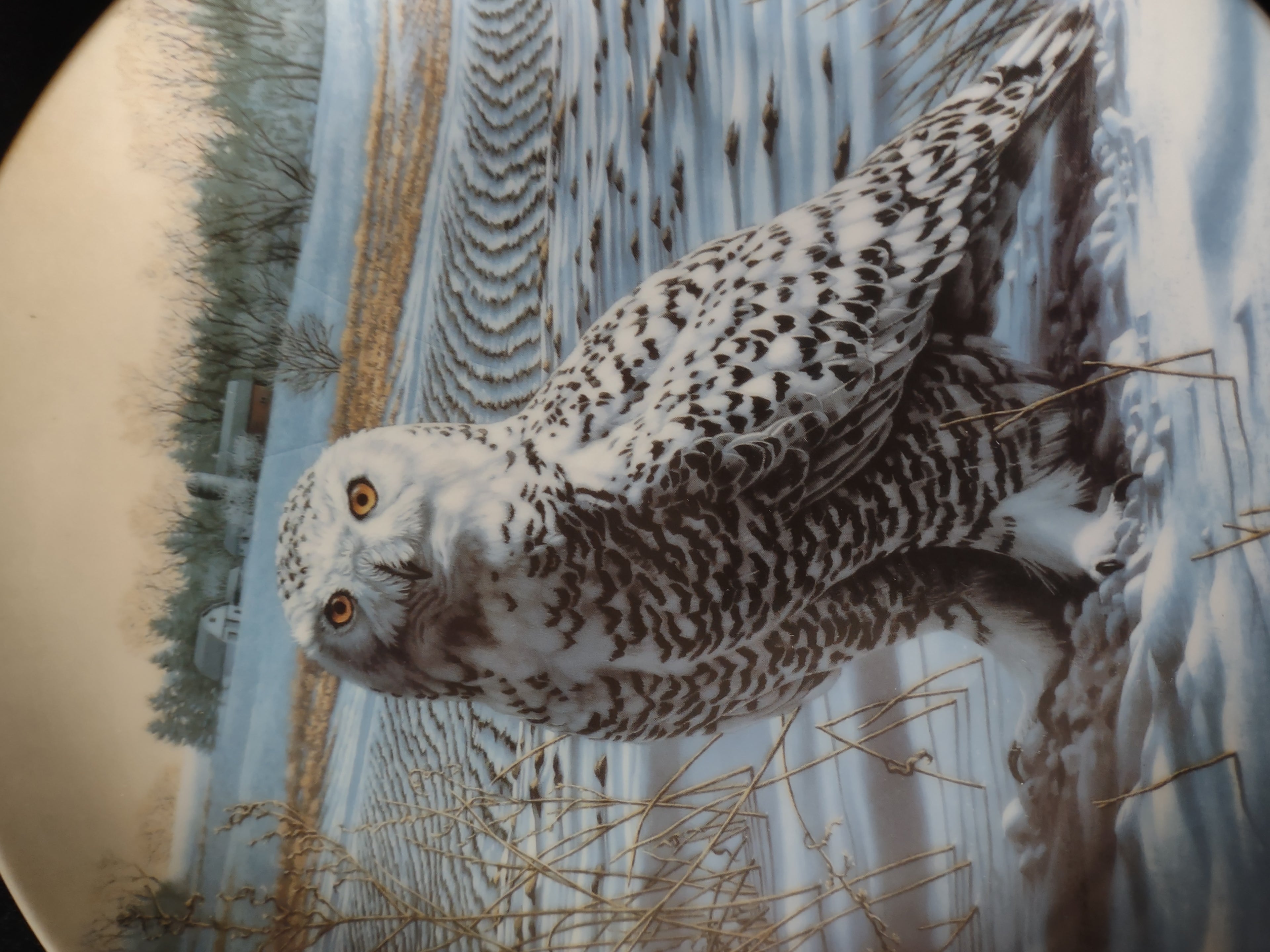 Vintage Knowles Collector Plate 1st Issue The Snowy Owl Stately Owls (Lot 5113)