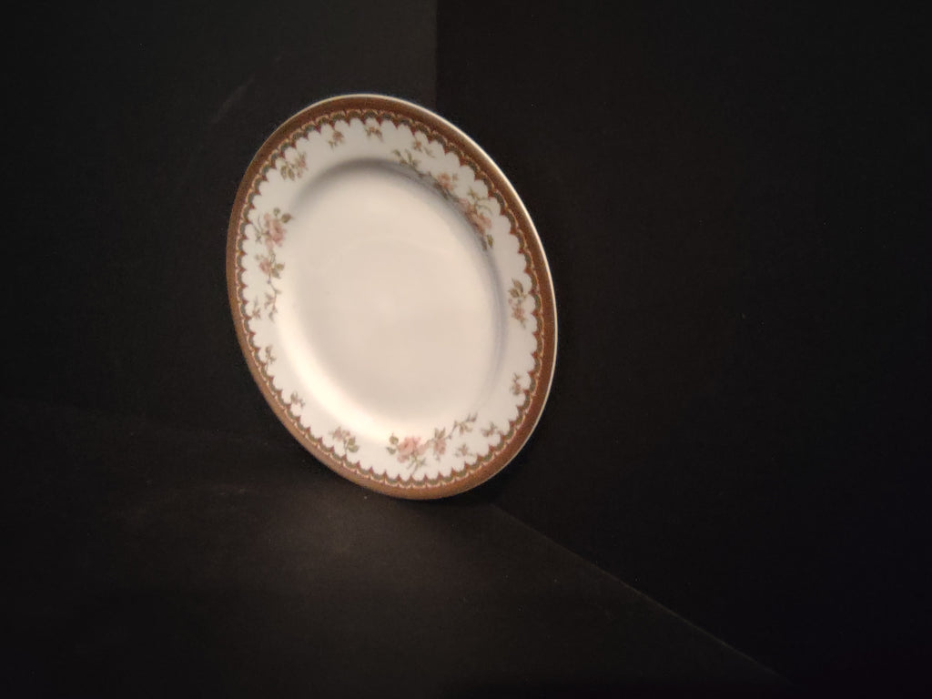 Haviland Limoges French Chic Rose Maroon Green Bread/Butter Plate (lot 1090)
