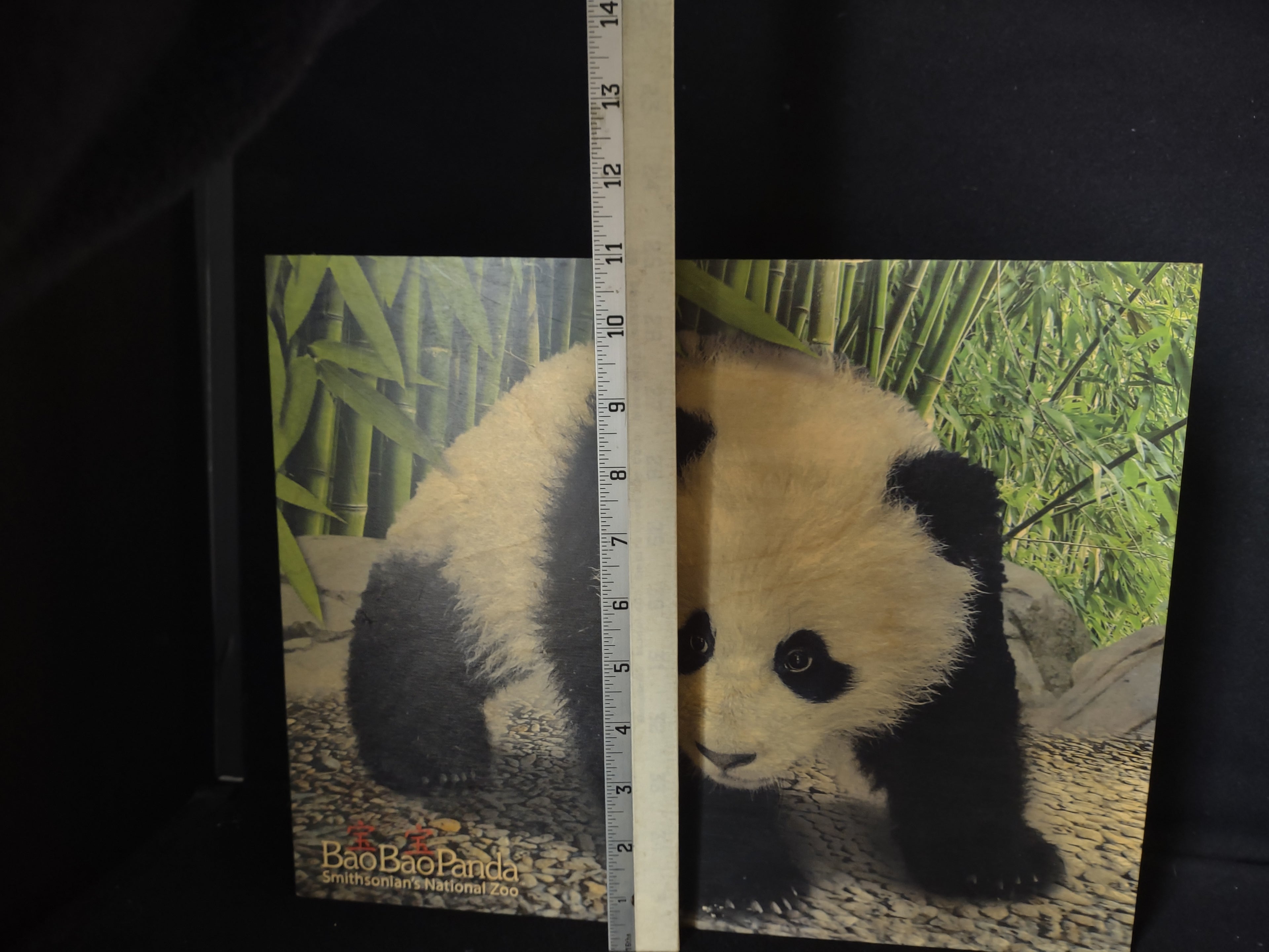 Bao Bao Smithsonian Panda Wooden Picture Portret Walnut Hollow (lot 2772c)