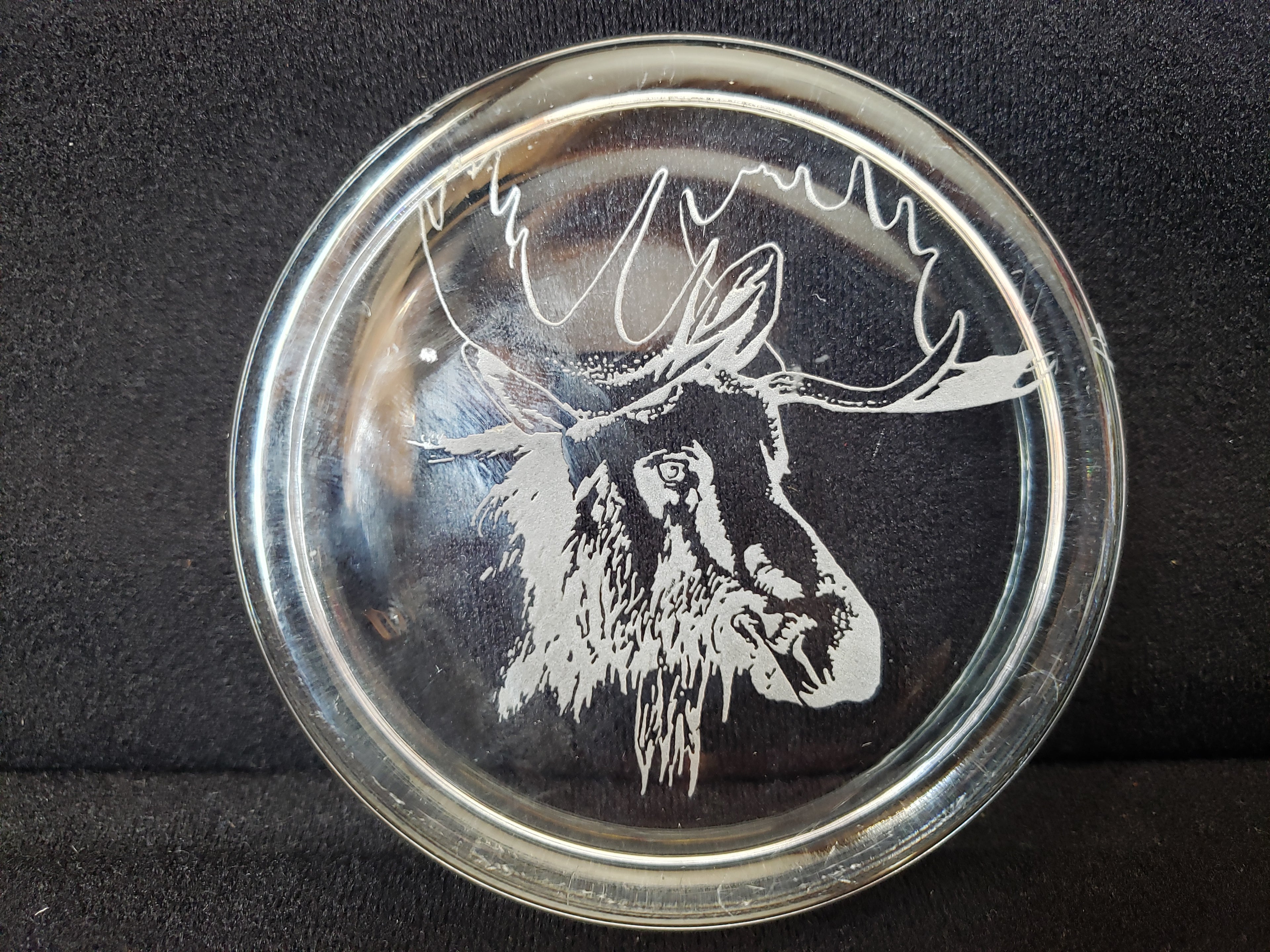 Moose Coaster Paper Weight Glass 3-3/8" (lot 2221)