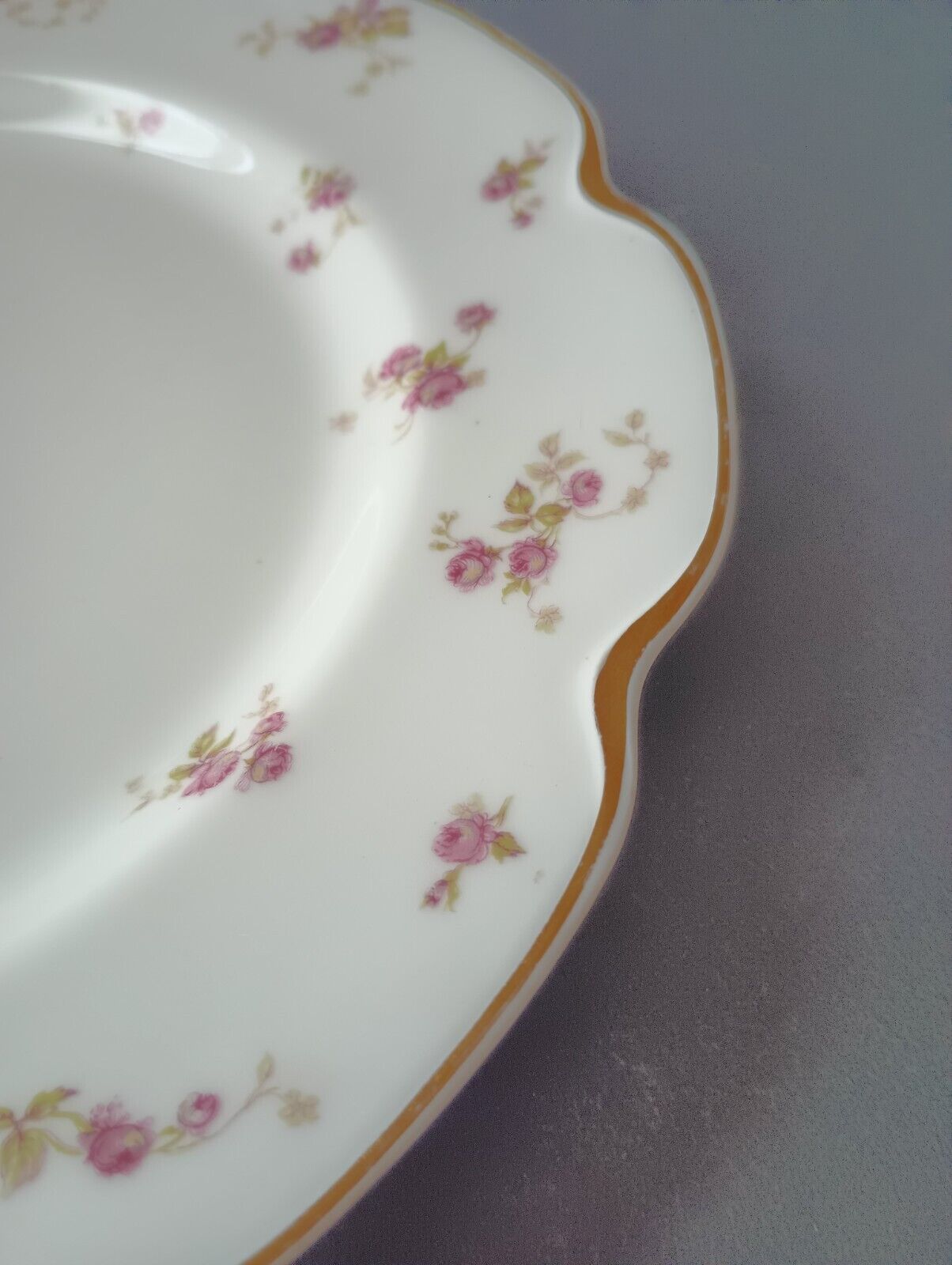 Haviland Limoges Set of 2 Plate Dinner 9-3/4" Gold Trim Roses (lot 382)