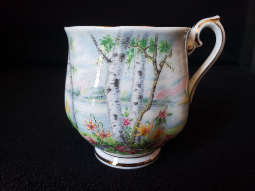 Vintage Royal Albert Silver Birch Demitasse Cup ONLY (lot 2030)