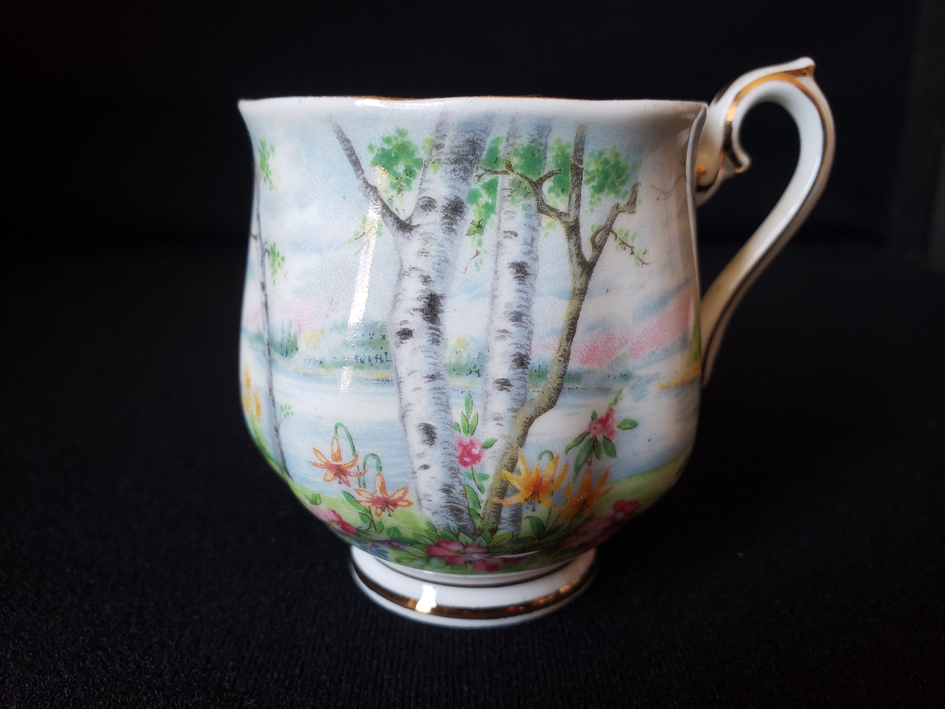 Vintage Royal Albert Silver Birch Demitasse Cup ONLY (lot 2030)