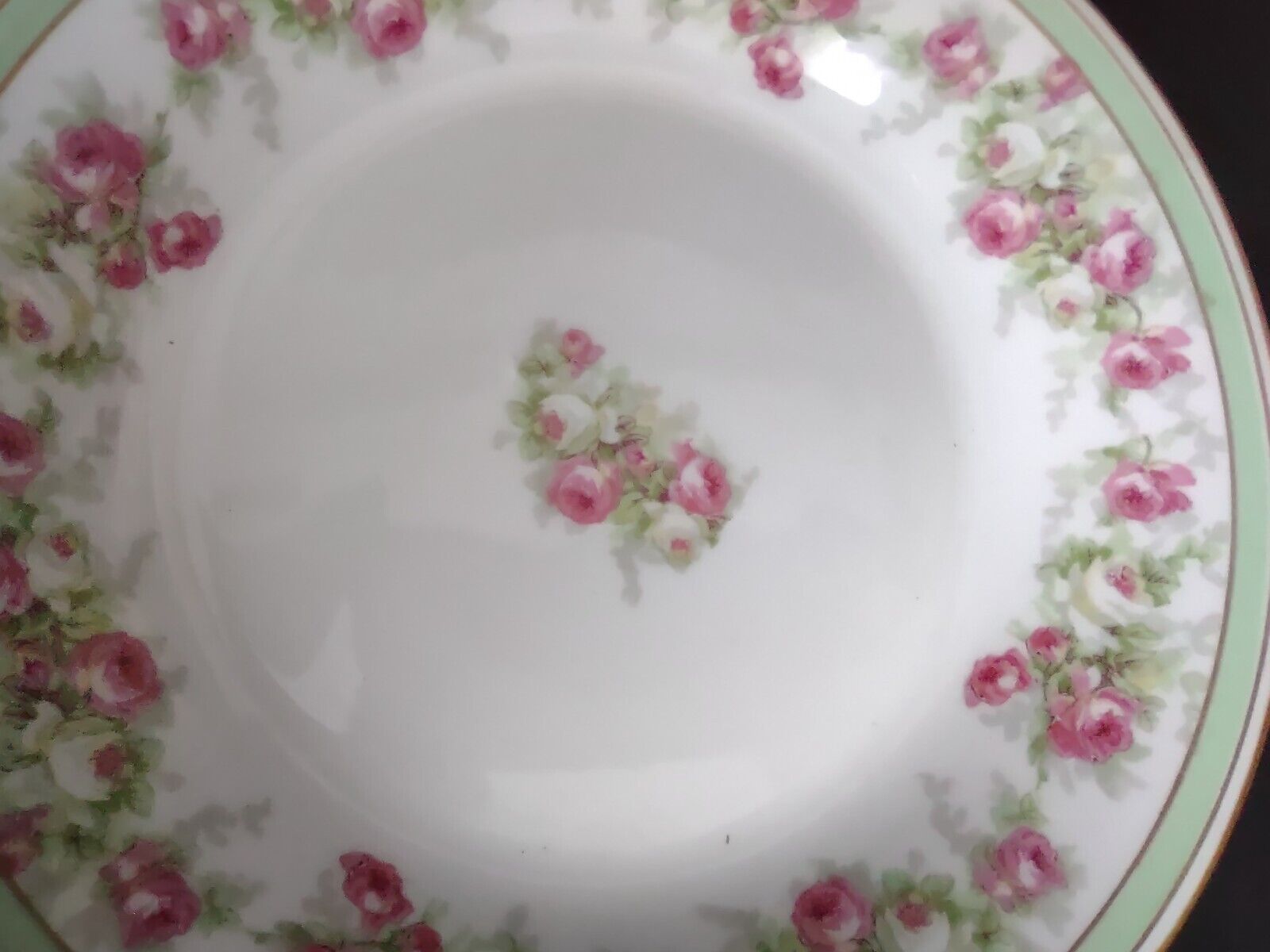 Coronet Limoges France 2 x Soup Plate Mint Band Gold Trim Pink Rose (lot 551)