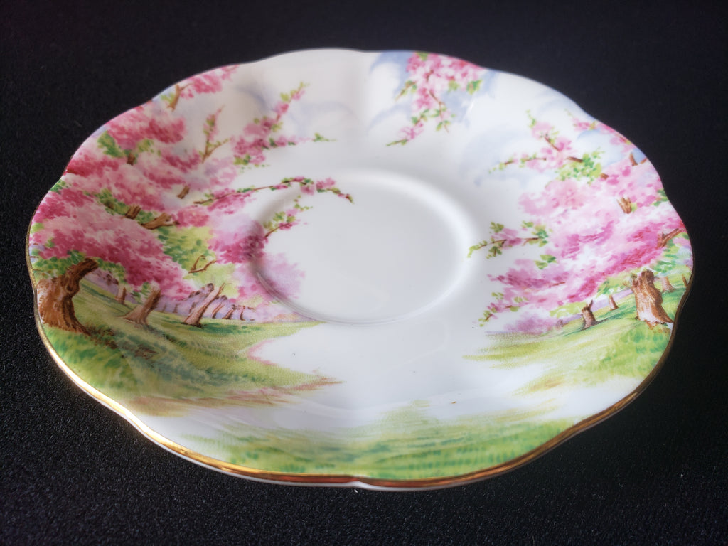Vintage Royal Albert Bone China Blossom Time Saucer ONLY (lot 2021)