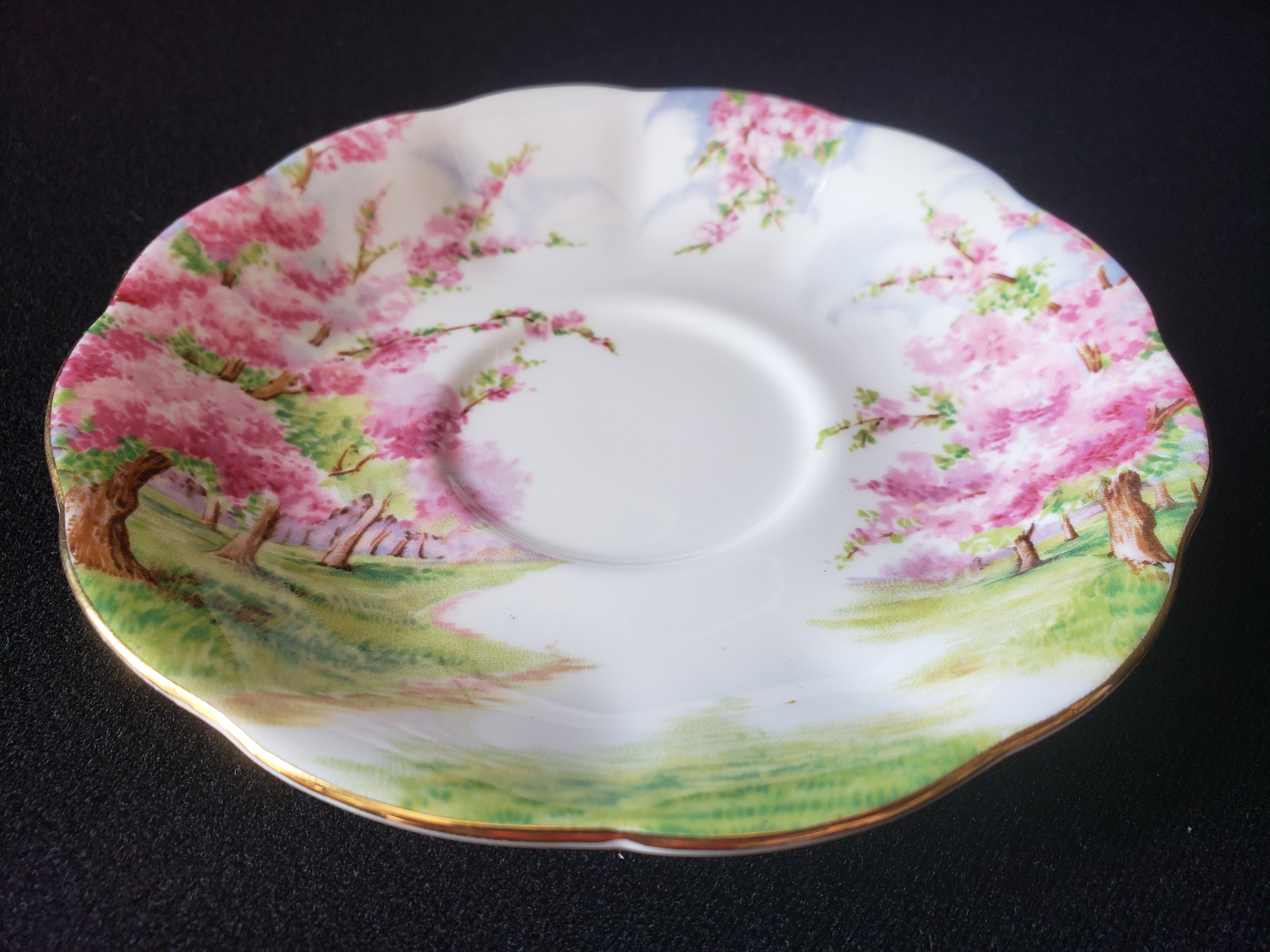 Vintage Royal Albert Bone China Blossom Time Saucer ONLY (lot 2021)