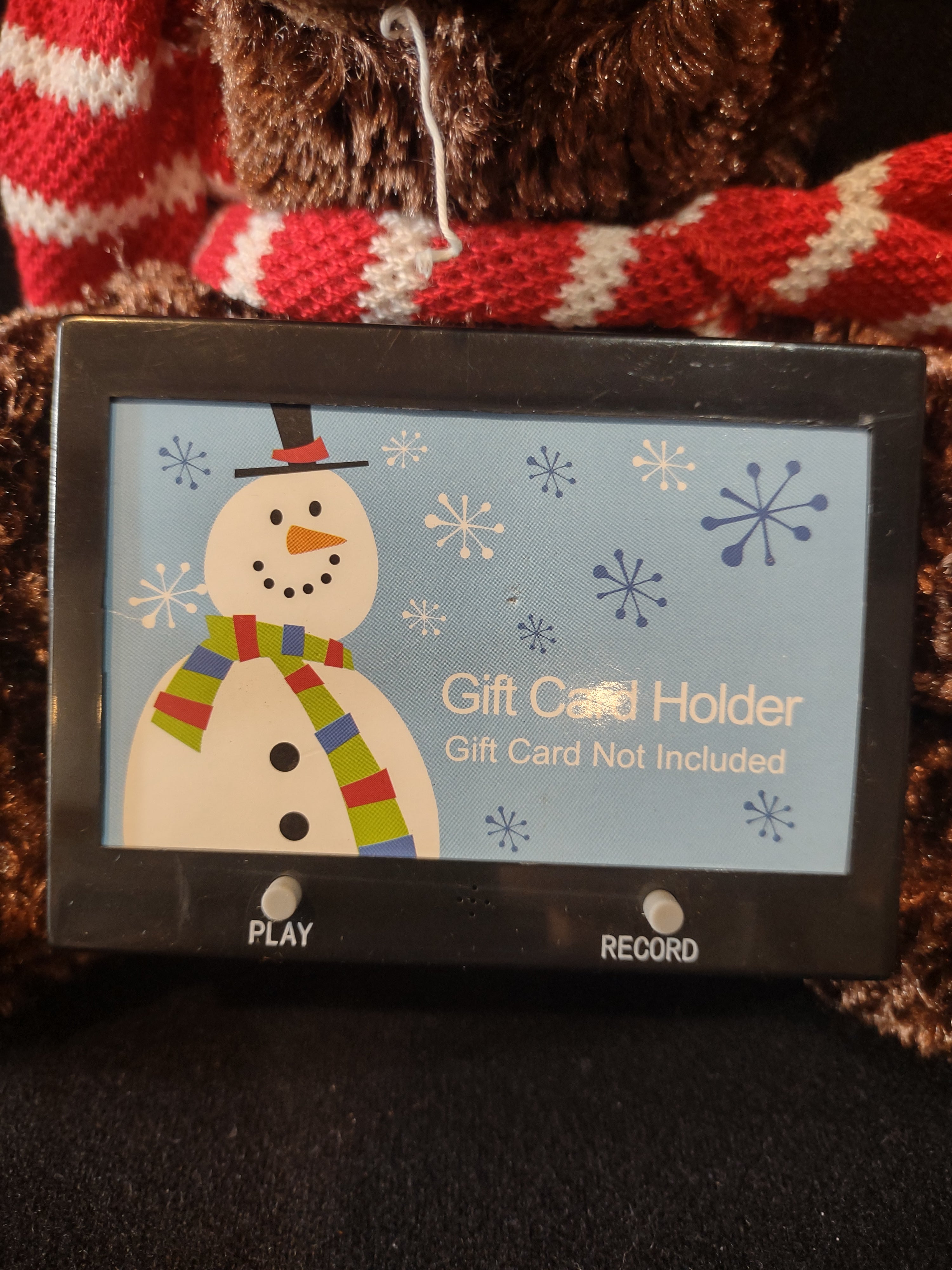 Christmas Winter Recordable Bear Gift Card Holder Stocking Hat Scarf (Lot 4231)