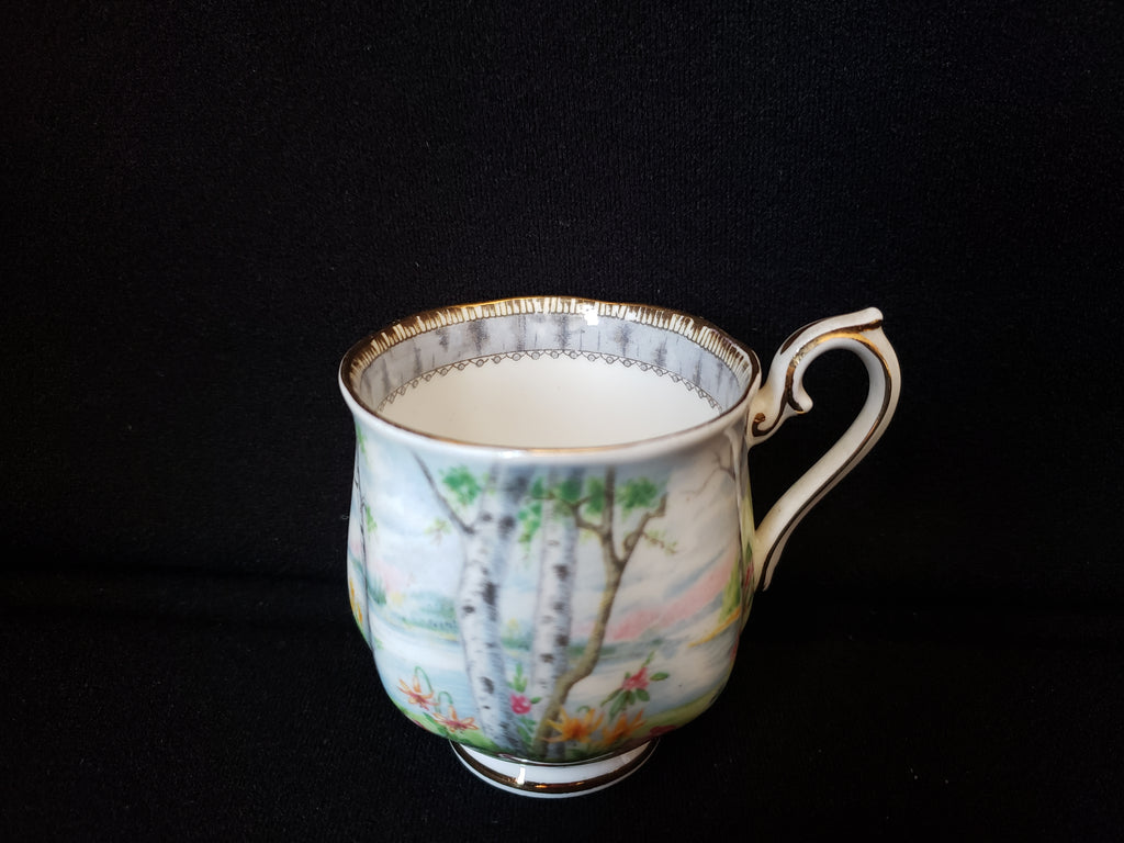 Vintage Royal Albert Silver Birch Demitasse Cup ONLY (lot 2030)