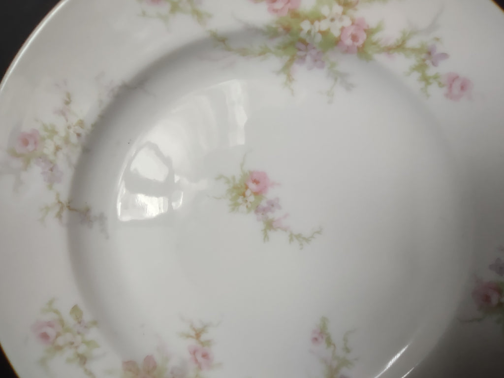 Haviland Limoges 2 x Bread Butter Plate Rose White Purple Flower Moss (lot 898)