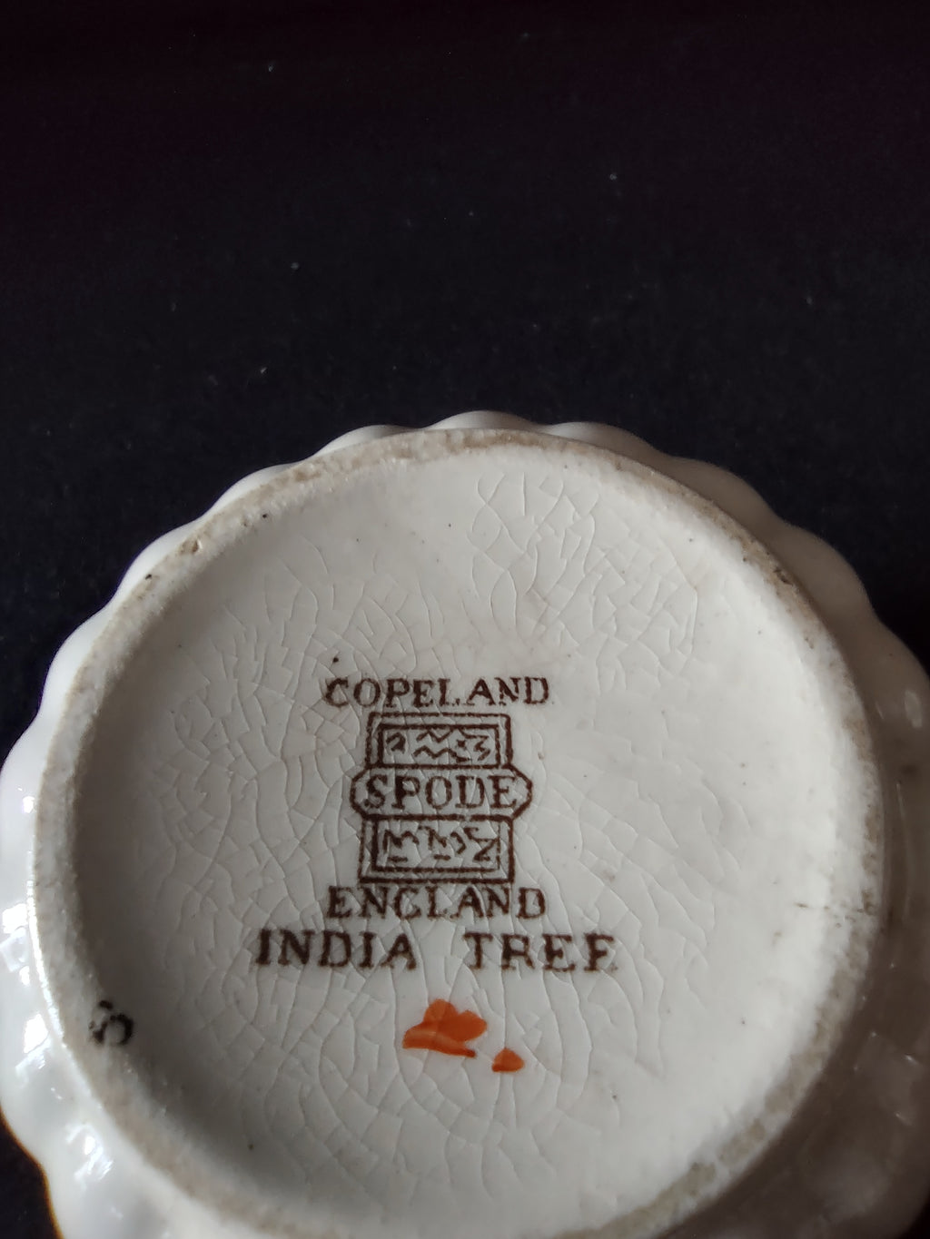 Vintage Copeland Spode Demitasse Espresso Teacup ONLY India Tree (Lot 5775)
