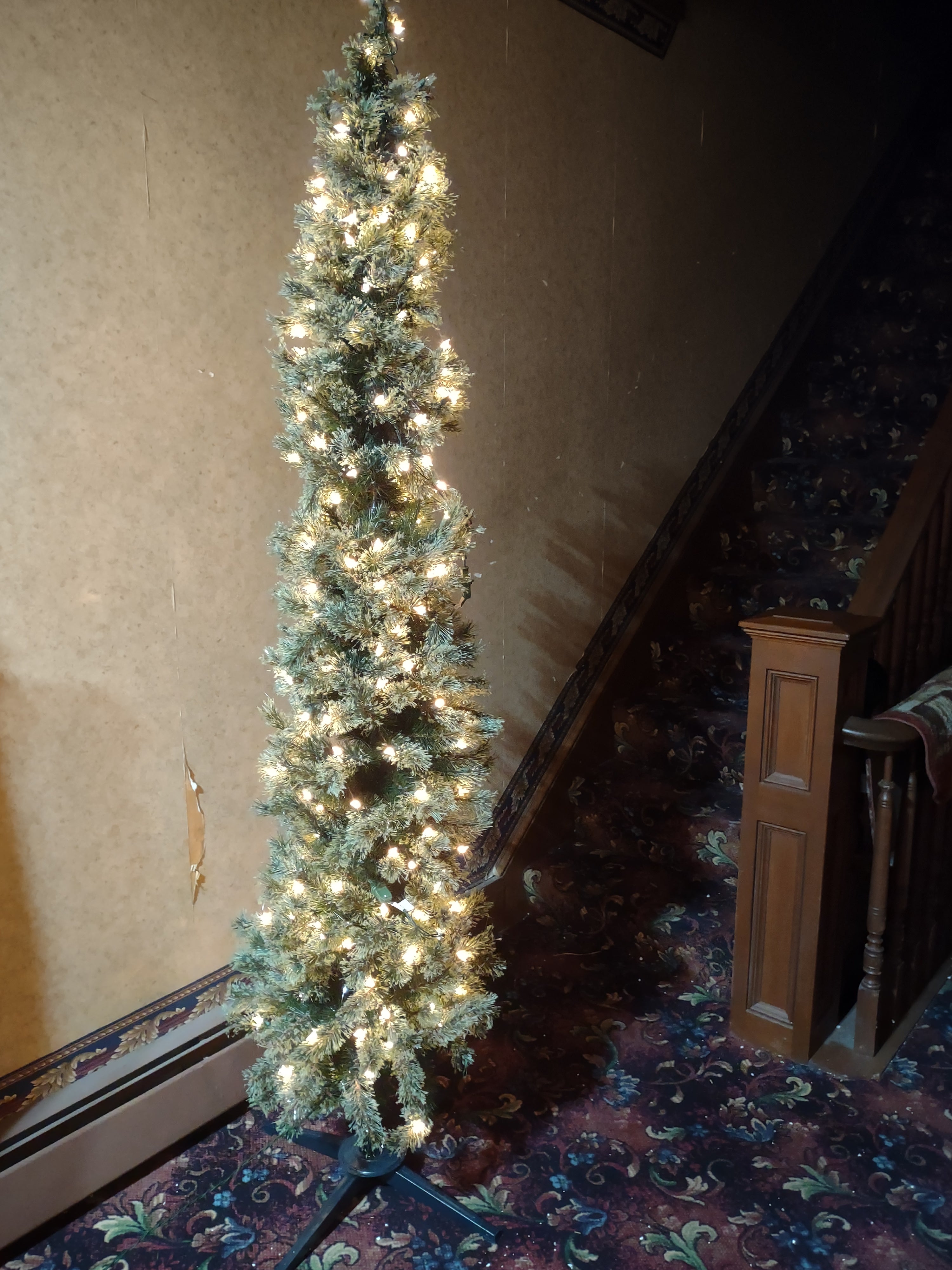 Christmas Artificial7 Ft Fluffy Pre-Lit Pencil Green Tree (lot 3380)