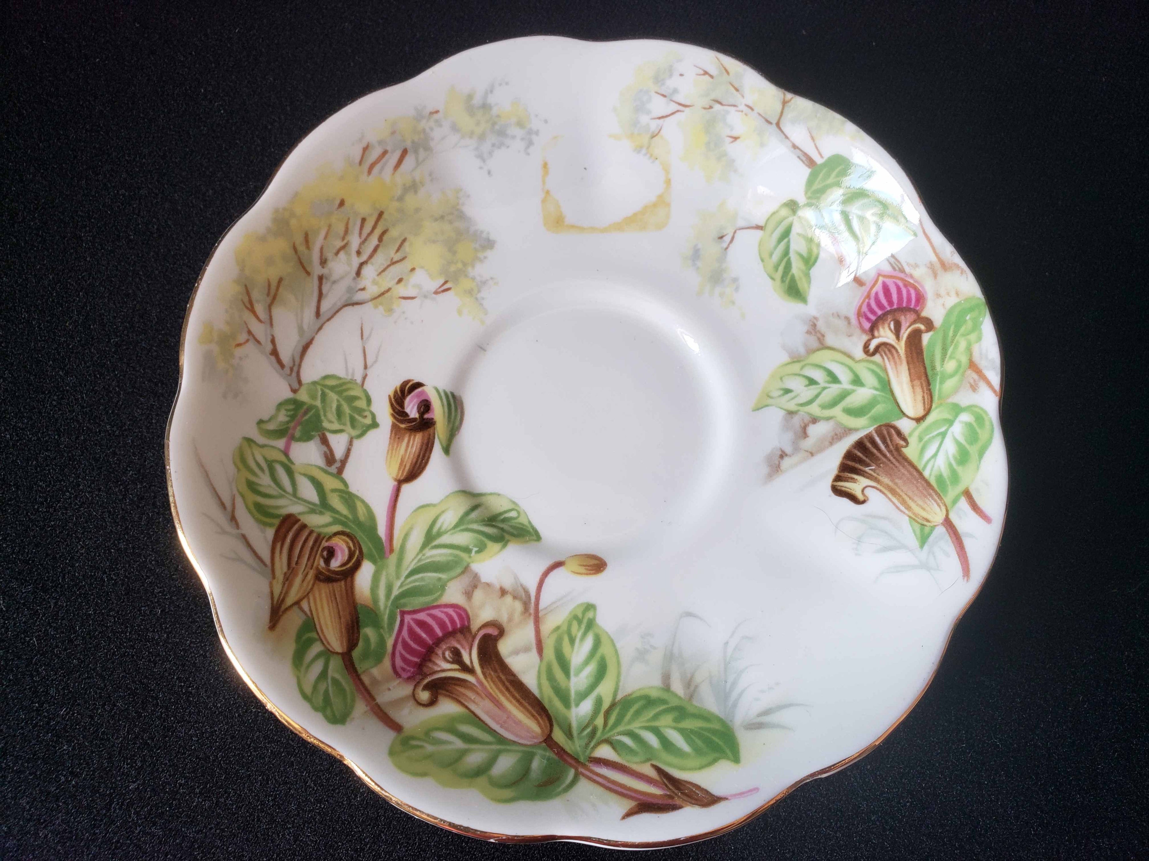 Vintage Royal Albert Bone Jack-in-a-Pulpit Saucer ONLY (lot 2011)