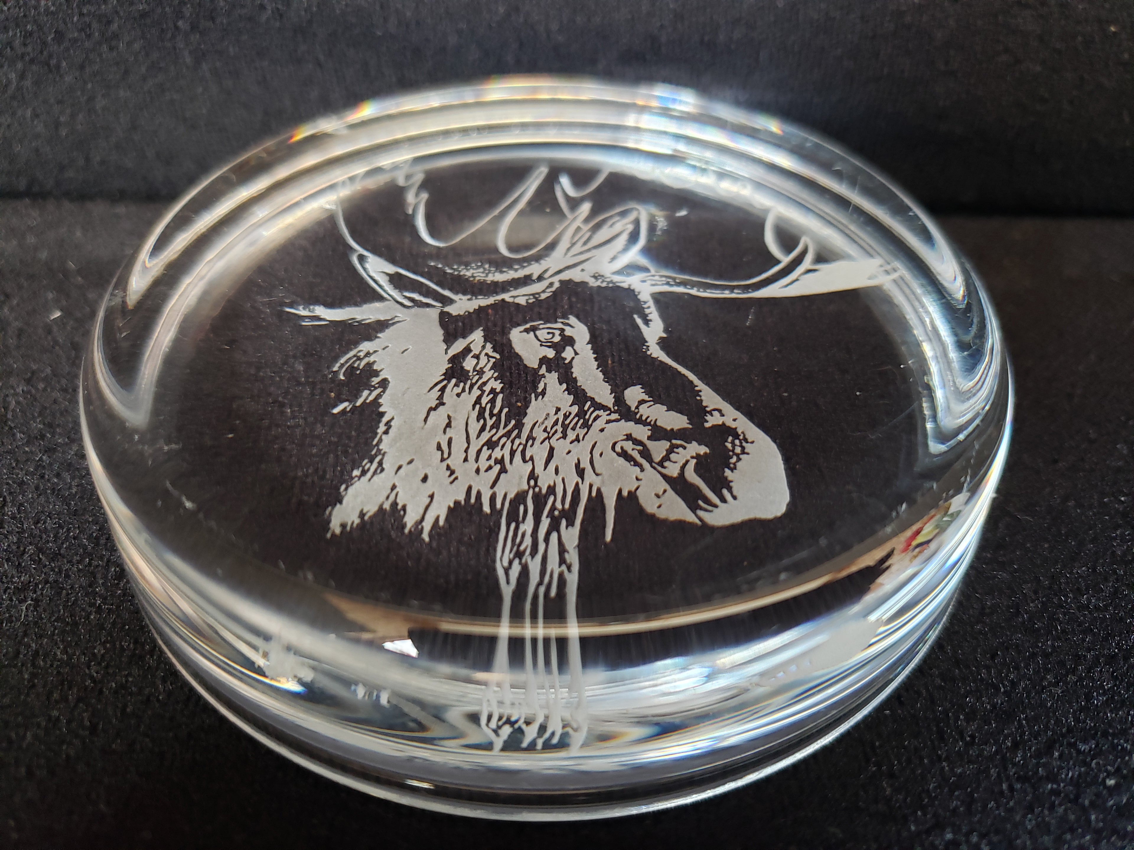 Moose Coaster Paper Weight Glass 3-3/8" (lot 2221)