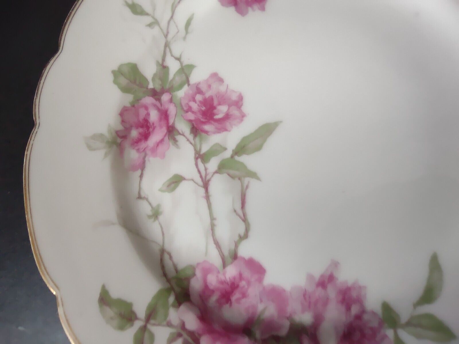 Haviland Limoges Baltimore Rose Salad Plate Gold Trim 8-1/4" (lot 488)