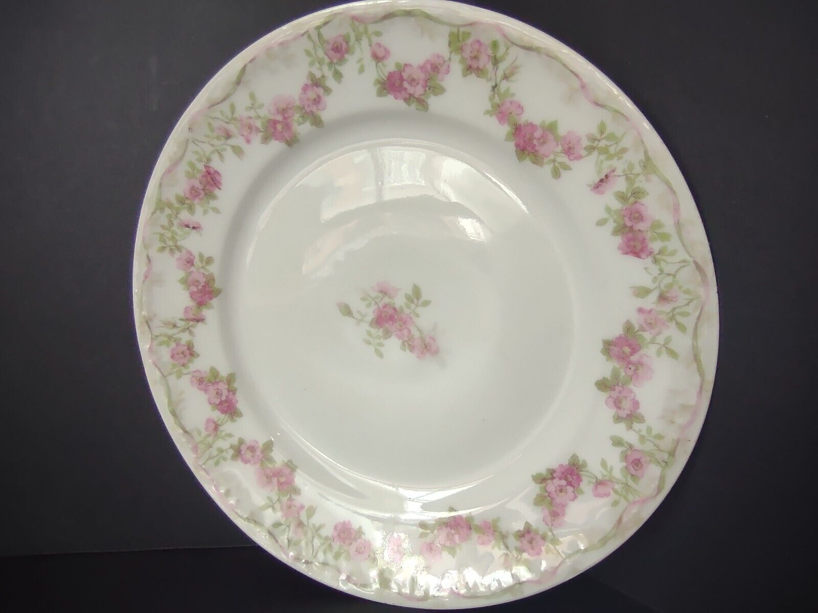 GDA Limoges Dinner & Salad Plate Apple Blossom Garland Swag Ribbon (lot 747)