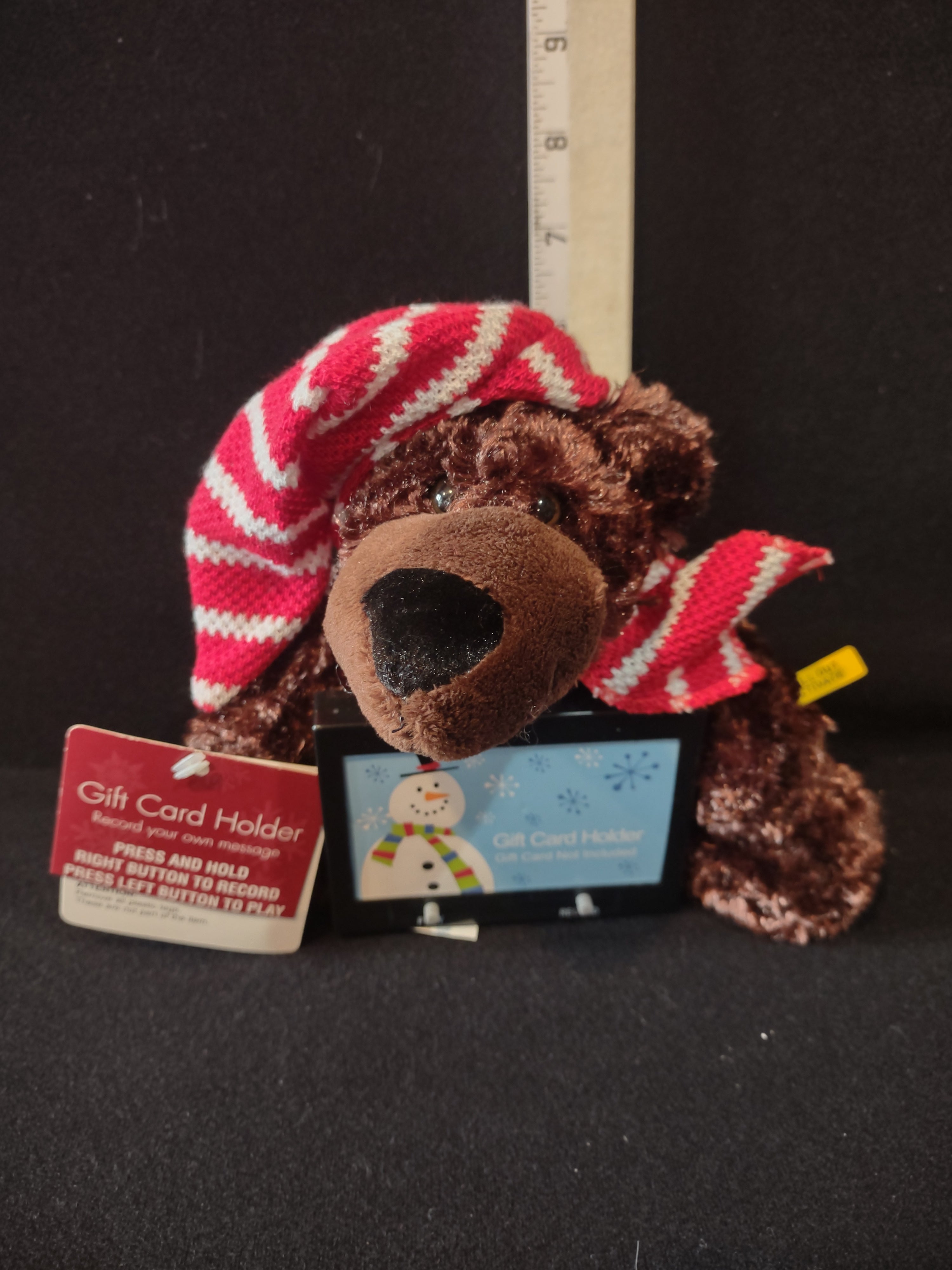 Christmas Winter Recordable Bear Gift Card Holder Stocking Hat Scarf (Lot 4231)