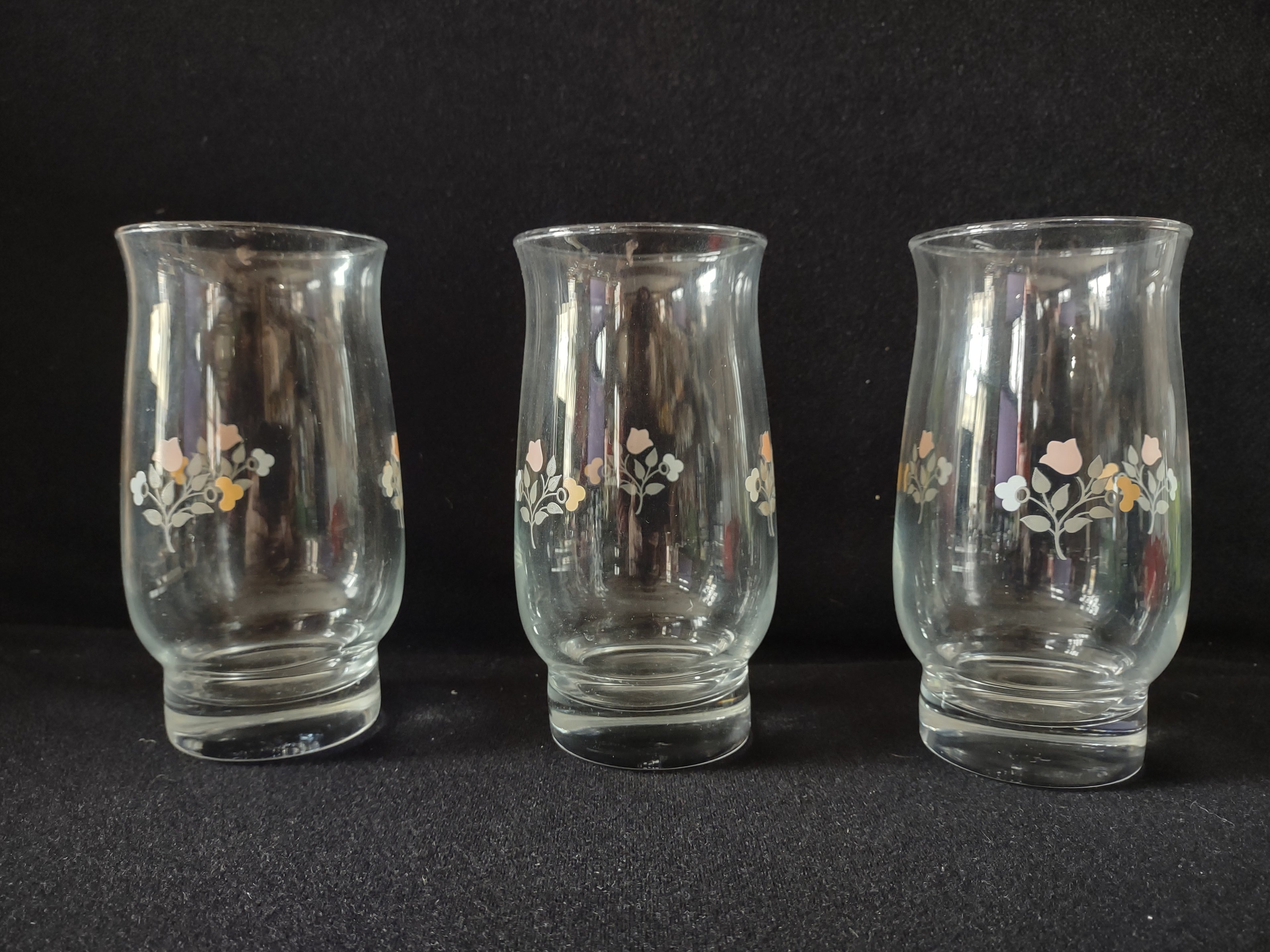 Vintage Remembrance Pfalzgraff Drinking Glass Tumbler x 3 (Lot 5232)