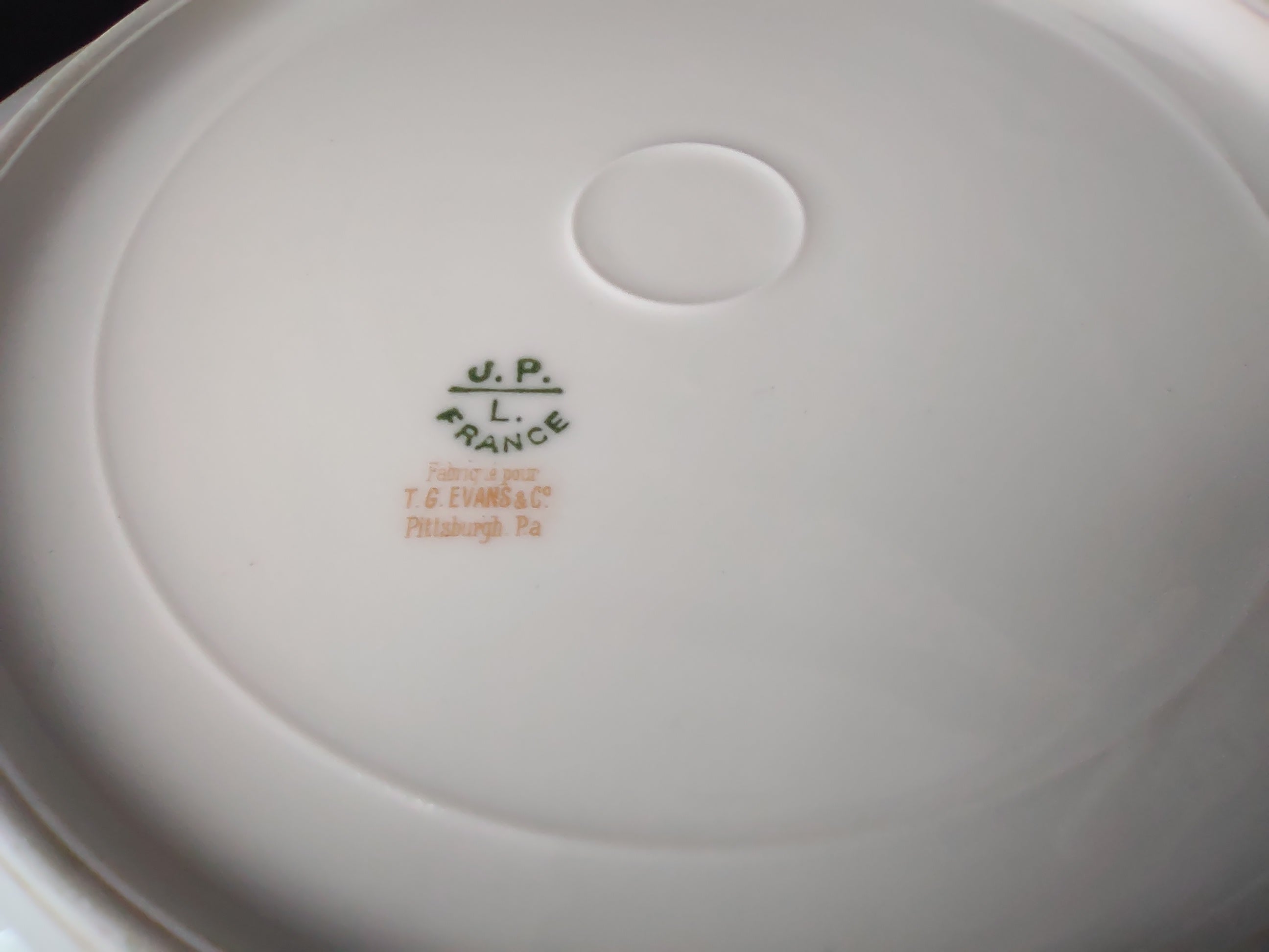 JP French Chic Floral Cottage Vintage Dinner Plate Rose Garland (lot 836)